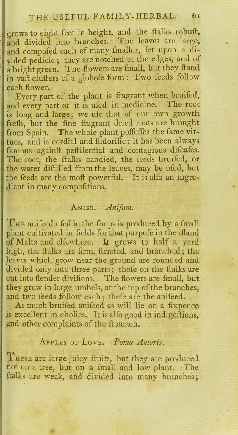 grows to eight feet in height, and the ftalks robuft, and divided into branches. The leaves are large, and compofed each of many fmaller, fet upon a di- vided pedicle ; they are notched at the edges, and of a bright green. The flowers are fmall, but they ftand in vaft clufters of a globofe form : Two feeds follow each flower. Every part of the plant is fragrant when bruifed, and every part of it is ufed in medicine. The root is long and large; we ufe that of our own growth frefh, but the fine fragrant dried roots are brought from Spain. The whole plant pofiefles the fame vir- tues, and is cordial and fudorific; it has been always famous againft peftilential and contagious difeafes. The root, the ftalks candied, the feeds bruifed, or the water diftilled from the leaves, may be ufed, but the feeds are the moft powerful. It is alfo an ingre- dient in many compofitions. Anise. Anifum. The anifeed ufed in the fiiops is produced by a fmall plant cultivated in fields for that purpofe in the ifland of Malta and elfewhere, it grows to half a yard high, the ftalks are firm, ftriated, and branched; the leaves which grow near the.ground are rounded and divided only into three parts; thofe on the ftalks are cut into flender divifions. The flowers are fmall, but they grow in large umbels, at the top of the branches, and two feeds follow each; thele are the anifeed. As much bruifed anifeed as will lie on a fixpence is excellent in cholics: It is alfo good in indigeftions, and other complaints of the ftomach. ^Apples of Love. Pojim Amoris. These are large juicy fruits, but they are produced not on a tree, but on a fmall and low plant. The ftalks are weak, and divided into many branches;