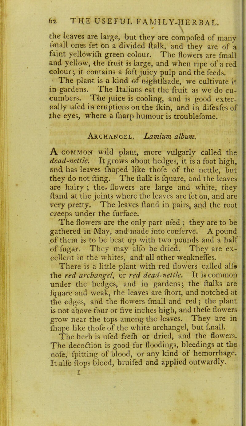 \ the leaves are large, but they are compofed of many imall ones fet on a divided ftalk, and they are of a faint yellowifh green colour. The flowers are fmall and yellow, the fruit is large, and when ripe of a red colour; it contains a foft juicy pulp and the feeds. The plant is a kind of nightlhade, we cultivate it in gardens. The Italians eat the fruit as we do cu- cumbers. The juice is cooling, and is good exter- nally ufed in eruptions on the {kin, and in difeafes of the eyes, where a (harp humour is troublefome. Archangel. Lamium album. A common wild plant, more vulgarly called the dead-nettle. It grows about hedges, it is a foot high, and has leaves Ihaped like thofe of the nettle, but they do not fling. The ftalk is fquare, and the leaves are hairy ; the. flowers are large and white, they (land at the joints where the leaves are fet on, and are very pretty. The leaves Hand in pairs, and the root creeps under the furface. The flowers are the only part ufed ; they are to be gathered in May, and made into conferve. A pound of them is to be beat up with two pounds and a half of fugar. They may alio be dried. They are ex- cellent in the whites, and all other weaknefies. There is a little plant with red flowers called alfo the red archangel, or red dead-nettle. It is common under the hedges, and in gardens; the {talks are fquare and weak, the leaves are fhort, and notched at the edges, and the flowers fmall and red; the plant is not above four or five inches high, and thefe flowers grow near the tops among the leaves. They are in {hape like thofe of the white archangel, but fmall. The herb is ufed frefh or dried, and the flowers. The decodion is good for floodings, bleedings at the nofe, fpitting of blood, or any kind of hemorrhage. It alfo flops blood, bruifed and applied outwardly,