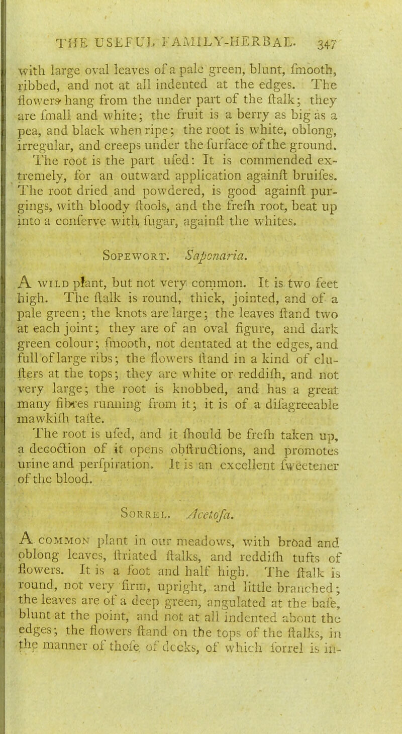 with large oval leaves of a pale green, blunt, fmooth, ribbed, and not at all indented at the edges. The liowers-hang from the under part of the balk; they are fmall and white; the fruit is a berry as big as a pea, and black when ripe; the root is white, oblong, irregular, and creeps under the furface of the ground. The root is the part tiled: It is commended ex- tremely, for an outward application againft bruifes. The root dried and powdered, is good againft pur- gings, with bloody bools, and the frefh root, beat up into a conferve with fugar, againlt the whites. j Sopewort. Saponaria. A wild plant, but not very common. It is two feet high. The balk is round, thick, jointed, and of a pale green; the knots are large; the leaves band two at each joint; they are of an oval figure, and dark green colour; fmooth, not dentated at the edges, and full of large ribs; the flowers band in a kind of chi- llers at the tops; they are white or reddilh, and not very large; the root is knobbed, and has a great many fibres running from it; it is of a difagreeable mawkiih talle. The root is ufed, and it Ihould be frefh taken up, a decoction of it opens obbructions, and promotes urine and perfpiration. It is an excellent fweetener of the blood. Sorrel. Aceiofa. A common plant in our meadows, with broad and oblong leaves, ftriated balks, and reddilh tufts of flowers. It is a foot and half high. The balk is round, not very firm, upright, and little branched; the leaves are of a deep green, angulated at the bafe, blunt at the point, and not at all indented about the edges; the flowers band on the tops of the balks, in the manner ol thole, of decks, of which forrel is in-