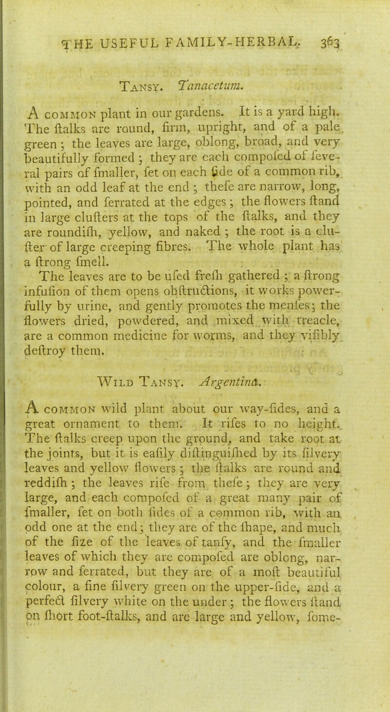 Tansy. Tanacetum. A common plant in our gardens. It is a yard high. The ftalks are round, firm, upright, and of a pale, green ; the leaves are large, oblong, broad, and very beautifully formed ; they are each composed of fieve- ral pairs of fmaller, fet on each fide of a common rib, with an odd leaf at the end ; thefe are narrow, long, pointed, and ferrated at the edges ; the flowers ft and in large clufters at the tops of the ftalks, and they are roundifh, yellow, and naked ; the root is a du- ller of large creeping fibres. The whole plant has a ftrong fmeft. The leaves are to be ufed frefti gathered ; a ftrong infulion of them opens obftru&ions, it works power- fully by urine, and gently promotes the menfes; the flowers dried, powdered, and mixed wfith treacle, are a common medicine for worms, and they vifibly deftroy them. y . . . i i; V • ’ Wild Tansy. Argentina. J\ common wild plant about our way-fides, and a great ornament to them. It rifes to no height. The ftalks creep upon the ground, and take root at the joints, but it is eafily diftinguifhed by its filvery leaves and yellow flowers; the ftalks are round and reddifh ; the leaves rife from thefe; they are very large, and each compofed of a great many pair of fmaller, fet on both fides of a common rib, with an odd one at the end; they are of the fhape, and much of the fize of the leaves of tanfy, and the fmaller leaves of which they are compofed are oblong, nar- row and ferrated, but they are of a moil beautiful colour, a fine filvery green on the upper-fide, and a perfed filvery white on the under ; the flowers Hand pn ftiort foot-ftalks, and are large and yellow7, fome-