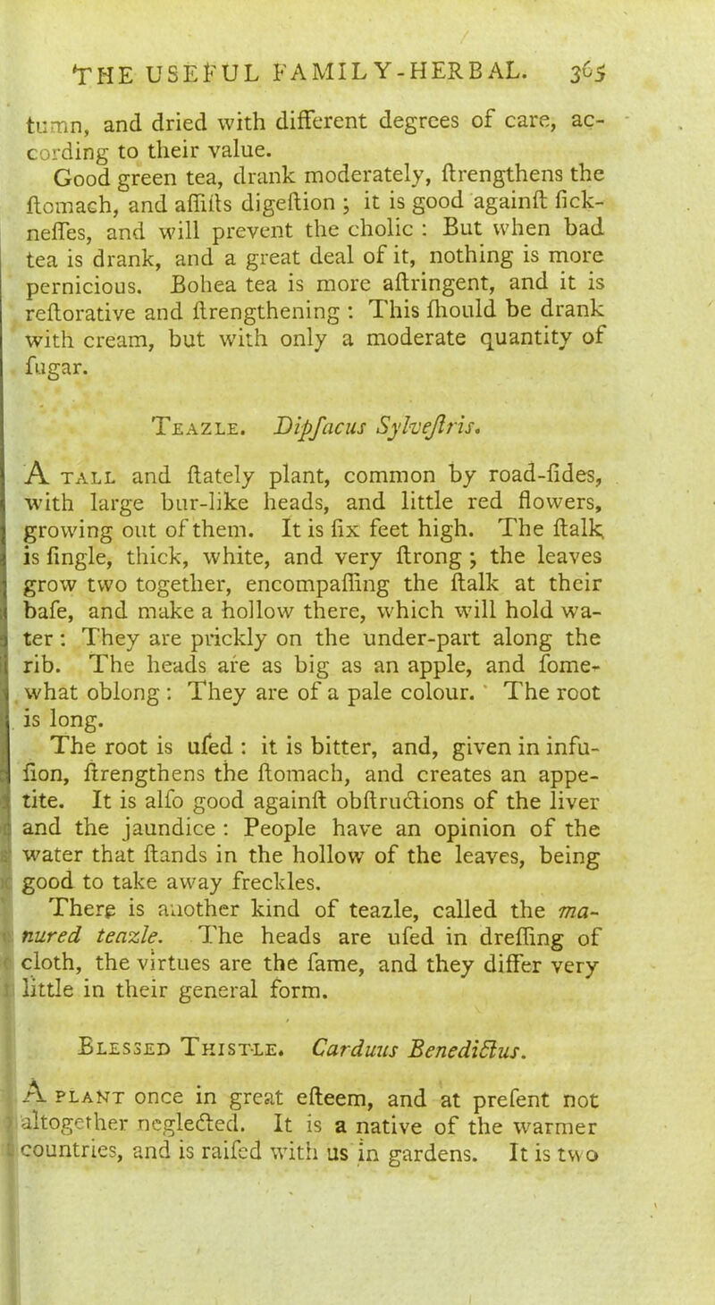 tumn, and dried with different degrees of care, ac- cording to their value. Good green tea, drank moderately, flrengthens the flomaeh, and aflifis digeftion ; it is good againft fick- neffes, and will prevent the cholic : But when bad tea is drank, and a great deal of it, nothing is more pernicious. Bohea tea is more aflringent, and it is reiterative and {lengthening : This fhould be drank with cream, but with only a moderate quantity of fugar. Teazle. Dipfacus Syhejlris. A tall and {lately plant, common by road-fides, with large bur-like heads, and little red flowers, growing out of them. It is fix feet high. The ftalk; is fingle, thick, white, and very ftrong ; the leaves grow two together, encompafling the ftalk at their ; bafe, and make a hollow there, which will hold wa- ter : They are prickly on the under-part along the rib. The heads are as big as an apple, and fome- what oblong : They are of a pale colour. The root is long. The root is ufed : it is bitter, and, given in infu- fion, ftrengthens the ftomach, and creates an appe- tite. It is alfo good againft obftructions of the liver and the jaundice : People have an opinion of the water that ftands in the hollow of the leaves, being good to take away freckles. There is another kind of teazle, called the ma- nured teazle. The heads are ufed in drefling of cloth, the virtues are the fame, and they differ very little in their general form. Blessed Thistle. Carduus Benedittus. plant once in great efteem, and at prefent not altogether negledted. It is a native of the warmer countries, and is raifed with us in gardens. It is two