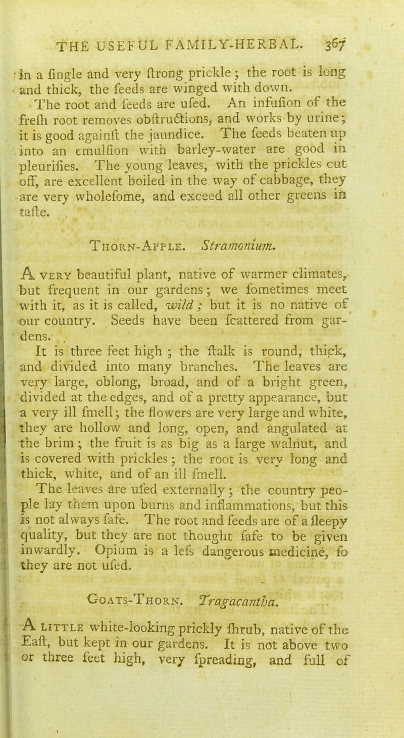 ■ in a fingle and very ftrong prickle ; the root is long and thick, the feeds are winged with down. The root and feeds are ufed. An infulion of the frelh root removes obftruttions, and works by urine; it is good againlt the jaundice. The feeds beaten up into an emulfion with barley-water are good in pleuriiies. The young leaves, with the prickles cut off, are excellent boiled in the way of cabbage, they are very wholefome, and exceed all other greens in taile. , Thorn-Apple. Stramonium. A very beautiful plant, native of warmer climates, but frequent in our gardens; we fometimes meet with it, as it is called, wild ; but it is no native of our country. Seeds have been fcattered from gar- dens. It is three feet high ; the ftalk is round, thipk, and divided into many branches. The leaves are very large, oblong, broad, and of a bright green, divided at the edges, and of a pretty appearance, but a very ill fmell; the flowers are very large and white, they are hollow and long, open, and angulated ar. the brim; the fruit is as big as a large walnut, and is covered with prickles; the root is very long and thick, white, and of an ill fmell. The leaves are ufed externally ; the country peo- ple lay them upon burns and inflammations, but this is not always fafe. The root and feeds are of a fleepy quality, but they are not thought fafe to be given inwardly. Opium is a lefs dangerous medicine, fo they are not ufed. Goats-Thorn. Tragacantha. A little w7hite-looking prickly flirub, native of the Tail, but kept in our gardens. It is not above two or three feet high, very fpreading, and full of