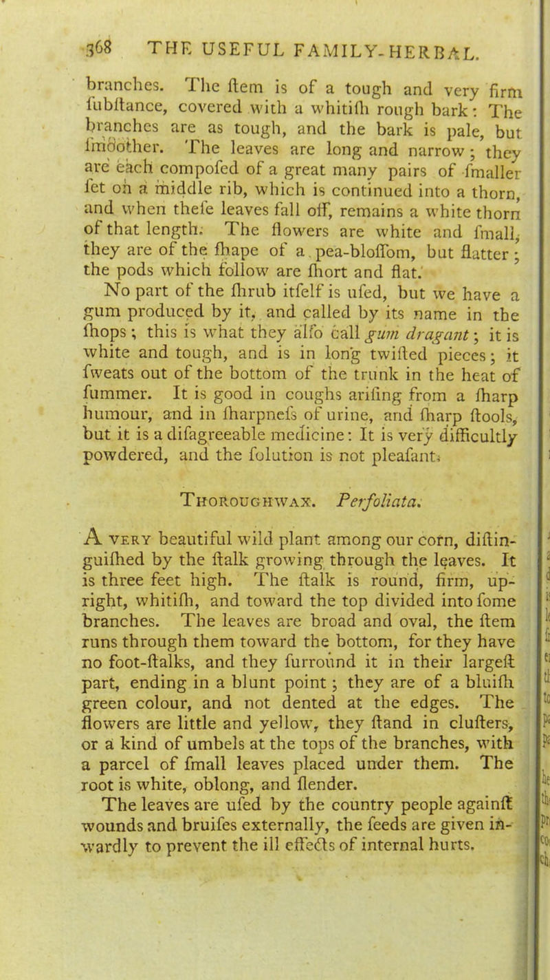 branches. I lie Item is of a tough and very firm lubltance, covered with a whitifh rough bark: The branches are as tough, and the bark is pale, but i'rnbo'ther. The leaves are long and narrow ; they are each compofed of a great many pairs of fmaller let on a middle rib, which is continued into a thorn, and when thefe leaves fall off, remains a white thorn of that length. The flowers are white and fmall, they are of the fhape of a pea-bloflom, but flatter • the pods which follow are fhort and flat. No part of the flirub itfelf is ufed, but we have a gum produced by it, and called by its name in the fhops; this is what they alfo call gum dragant; it is white and tough, and is in long twilled pieces; it fweats out of the bottom of the trunk in the heat of fummer. It is good in coughs arifing from a lharp humour, and in lharpnefs of urine, and (harp (tools, but it is a difagreeable medicine: It is very difficultly powdered, and the folution is not pleafant* Thorough wax. Perfoliata. A very beautiful wild plant among our corn, diltin- guilhed by the ftalk growing through the leaves. It is three feet high. The ftalk is round, firm, up- right, whitifh, and toward the top divided intofome branches. The leaves are broad and oval, the Item runs through them toward the bottom, for they have no foot-ftalks, and they furround it in their largefl: part, ending in a blunt point; they are of a bluifh green colour, and not dented at the edges. The flowers are little and yellow, they ftand in clufters, or a kind of umbels at the tops of the branches, with a parcel of fmall leaves placed under them. The root is white, oblong, and flender. The leaves are ufed by the country people againft wounds and bruifes externally, the feeds are given in- wardly to prevent the ill effects of internal hurts.