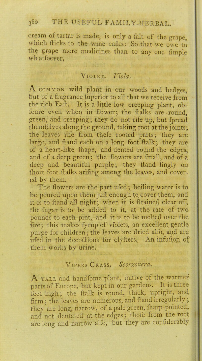 cream of tartar is made, is only a fait of the grape, which Hicks to the wine calks: So that we owe to the grape more medicines than to any one fnnple wh atfoever. Violet. Viola. A common wild plant in our woods and hedges, but of a fragrance fuperior to all that we receive from the rich Eaft, It is a little low creeping plant, ob- feure even when in flower; the ftalks are round, green, and creeping; they do not rife up, but fpread themfelves along the ground, taking root at the joints; the leaves rife from thefe rooted parts; they are large, and Hand each on a long foot-ftalk; they are of a heart-like fhape, and dented round the edges* and of a deep green; the flowers are fmall, and of a deep and beautiful purple; they Hand fmgly on fhort foot-ftalks arifing among the leaves, and cover- ed by them. The flowers are the part ufed; boiling water is to be poured upon them juft enough to cover them, and it is to ftand all night; when it is drained clear off, the fugar is to be added to it, at the rate of two pounds to each pint, and it is to be melted over the fire; this makes fyrup of violets, an excellent gentle purge for children; the leaves are dried alfo, and are ufed in the decoctions for clyfters. An infufion o£ them works by urine. Vipers Grass. Scorzohera. A tall and handfome plant, native of the warmer- parts of Europe, but kept in our gardens. It is three feet high; the ftalk is round, thick, upright, and firm; the leaves are numerous, and ftand irregularly; they are long, narrow, of a pale green, fharp-pointed, and not dentated at the edges; thofe from the root are Iona: and narrdw alfo, but they are confiderably