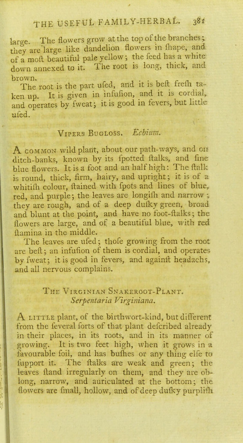 large. The flowers grow at the top of the branches; they are large like dandelion floweis in lhape, and. of a mod beautiful pale yellow; the feed has a white down annexed to it. 1 he root is long, thick, and brown. . . _ The root is the part ufed, and it is belt trelh ta- ken up. It is given in infufion, and it is cordial, and operates by fweat; it is good in feveis, but little ufed. Vipers Bugloss. Echiitm. A common wild plant, about our path-ways, and on ditch-banks, known by its fpotted ftalks, and fine blue flowers. It is a foot and an half high: The ftalk is round, thick, firm, hairy, and upright; it is of a whitilh colour, Rained with fpots and lines of blue, red, and purple; the leaves are longifh and narrow ; they are rough, and of a deep duiky green, broad and blunt at the point, and have no foot-ftalks; the flowers are large, and of a beautiful blue, with red {lamina in the middle. The leaves are ufed; thofe growing from the root are bed; an infufion of them is cordial, and operates by fweat; it is good in fevers, and againft headachs, and all nervous complains. The Virginian Snakeroot-Plant. Serpentaria Virginiana. A little plant, of the birthwort-kind, but different from the feveral forts of that plant deferibed already in their places, in its roots, and in its manner of growing. It is two feet high, when it grows in a favourable foil, and has bulhes or any thing elfe to fupport it. The dalks are weak and green; the leaves dand irregularly on them, and they are ob- long, narrow, and auriculated at the bottom; the flowers are fin all, hollow, and of deep dufky purplifh