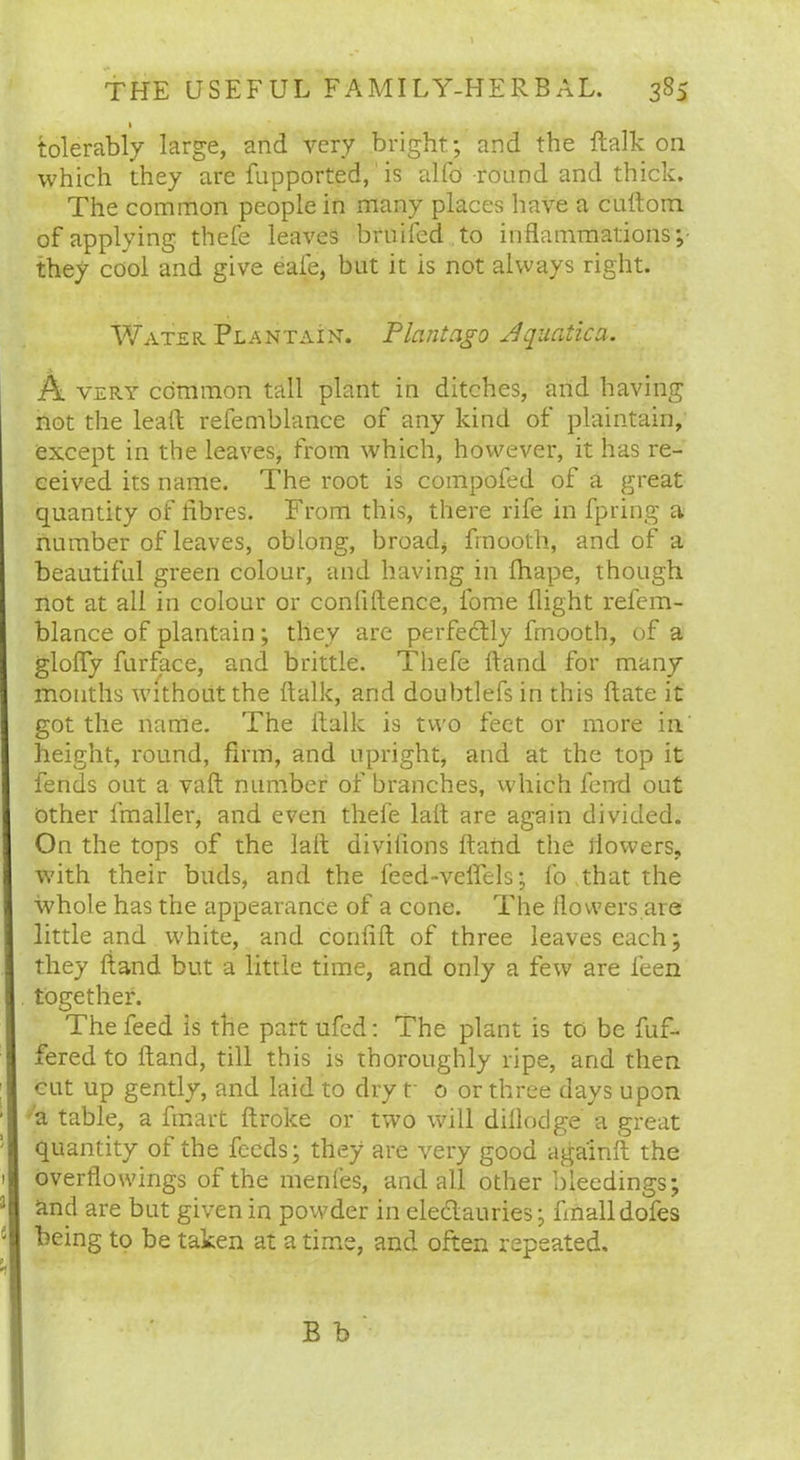 1 tolerably large, and very bright; and the flalk on which they are fupported, is alfo round arid thick. The common people in many places have a cuftom of applying thefe leaves bruifed to inflammations; they cool and give eafe, but it is not always right. Water Plantain. Plant ago Jquatica. A very common tall plant in ditches, arid having not the lead refemblance of any kind of plaintain, except in the leaves, from which, however, it has re- ceived its name. The root is coiiipofed of a great quantity of fibres. From this, there rife in fpring a number of leaves, oblong, broad* fmooth, and of a beautiful green colour, and having in fhape, though not at all in colour or confidence, lbme flight refem- blance of plantain; they are perfectly fmooth, of a glofly furface, and brittle. Thefe fland for many months without the flalk, and doubtlefs in this date it got the name. The flalk is two feet or more in height, round, firm, and upright, and at the top it fends out a vad number of branches, which fend out other fmaller, and even thefe lad are again divided, j On the tops of the lad divifions daiid the flowers, with their buds, and the leed-veflels; fo that the whole has the appearance of a cone. The flowers are little and white, and confid of three leaves each; they fland but a little time, and only a few are leen together. The feed is the part ufed: The plant is to be dif- fered to fland, till this is thoroughly ripe, and then : cut up gently, and laid to dry f 0 or three days upon ' a table, a fmart Aroke or two will diflodge a great ; quantity of the feeds; they are very good againft the 1 overflowings of the menfes, and all other bleedings; 3! and are but given in powder in eleclauries; finall dofes : 1 being to be taken at a time, and often repeated. B b