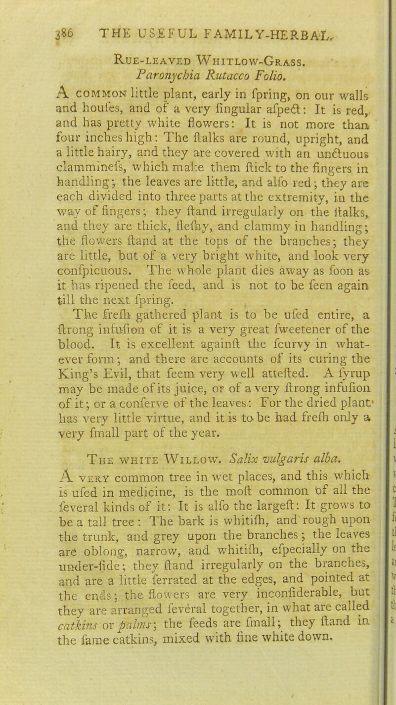 Rue-leaved Whitlow-Grass. Paronychia Rutacco Folio. A common little plant, early in fpring, on our walls and houfes, and of a very lingular afpedt: It is red, and has pretty white flowers: It is not more than four inches high: The ftalks are round, upright, and a little hairy, and they are covered with an undtuous clamminefs, which make them Hick to the fingers in handling, the leaves are little, and alfo red; they arc each divided into three parts at the extremity, in the way of fingers; they Hand irregularly on the flalks, and they are thick, flefhy, and clammy in handling; the flowers Hand at the tops of the branches; they are little, but of a very bright white, and look very confpicuous. The whole plant dies away as foon as it has ripened the feed, and is not to be feen again till the next fpring. The frefh gathered plant is to be ufed. entire, a flrong infufion of it is a very great fweetener of the blood. It is excellent againft the fcurvy in what- ever form; and there are accounts of its curing the King’s Evil, that feem very well attelled. A fyrup may be made of its juice, or of a very flrong infufion. of it; or a conferve of the leaves: For the dried plant* has very little virtue, and it is to be had frefh only a very fmall part of the year. The white Willow. Salix vulgaris alba. A very common tree in wet places, and this which is ufed in medicine, is the moft common of all the feveral kinds of it: It is alfo the largeft: It grows to be a tall tree: The bark is whitifh, and rough upon the trunk, and grey upon the branches; the leaves are oblong, narrow, and whitifh, efpecially on the under-fide; they ftand irregularly on the branches, and are a little ferrated at the edges, and pointed at the ends; the flowers are very inconflderable, but they are arranged feveral together, in what are called catkins or palms; the feeds are fmall; they fiand in the fame catkins, mixed with line white down.