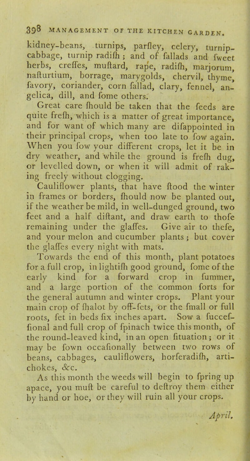 kidney-beans, turnips, parfley, celery, turnip- cabbage, turnip radifh ; and of fallads and fweet herbs, creffes, muftard, rape, radifh, marjorum, nafturtium, borrage, marygolds, chervil, thyme* favory, coriander, corn fallad, clary, fennel, an- gelica, dill, and fome others. Great care fhould be taken that the feeds are quite frefh, which is a matter of great importance, and for want of which many are difappointed in their principal crops, when too late to fow again. When you fow your different crops, let it be in dry weather, and while the ground is frefh dug, or levelled down, or when it will admit of rak- ing freely without clogging. Cauliflower plants, that have flood the winter in frames or borders, fhould now be planted out, if the weather be mild, in well-dunged ground, two feet and a half diftant, and draw earth to thofe remaining under the glaffes. Give air to thefe, and your melon and cucumber plants; but cover the glaffes every night with mats. Towards the end of this month, plant potatoes for a full crop, in lightifh good ground, fome of the early kind for a forward crop in fummer, and a large portion of the common forts for the general autumn and winter crops. Plant your main crop of flialot by off-fets, or the fmall or full roots, fet in beds fix inches apart. Sow a fuccef- fional and full crop of fpinach twice this month, of the round-leaved kind, in an open fituation; or it may be fown occafionally between two rows of beans, cabbages, cauliflowers, horferadifh, arti- chokes, &c. As this month the weeds will begin to fpring up apace, you muff be careful to deftroy them either by hand or hoe, or they will ruin all your crops. April.