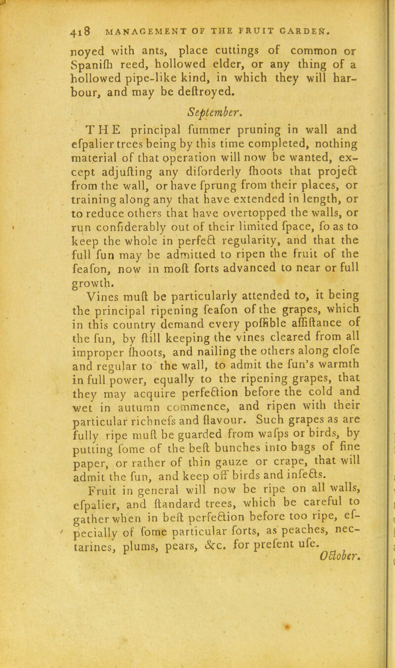 noyed with ants, place cuttings of common or Spanifli reed, hollowed elder, or any thing of a hollowed pipe-like kind, in which they will har- bour, and may be deftroyed. September. THE principal fummer pruning in wall and efpalier trees being by this time completed, nothing material of that operation will now be wanted, ex- cept adjufting any disorderly fhoots that project from the wall, or have fprung from their places, or training along any that have extended in length, or to reduce others that have overtopped the walls, or ryn considerably out of their limited fpace, fo as to keep the whole in perfeCt regularity, and that the full fun may be admitted to ripen the fruit of the feafon, now in moft forts advanced to near or full growth. Vines mull be particularly attended to, it being the principal ripening feafon of the grapes, which in this country demand every poffible affiftance of the fun, by {till keeping the vines cleared from all improper fhoots, and nailing the others along clofe and regular to the wall, to admit the fun’s warmth in full power, equally to the ripening grapes, that they may acquire perfection before the cold and wet in autumn commence, and ripen with their particular richnefs and flavour. Such grapes as are fully ripe muft be guarded from wafps or birds, by putting fome of the beft bunches into bags of fine paper, or rather of thin gauze or crape, that will admit the fun, and keep off birds and infeCts. Fruit in general will now be ripe on all walls, efpalier, and Standard trees, which be careful to gather when in beft perfection before too iipe, es- pecially of fome particular forts, as peaches, nec- tarines, plums, pears, &c. for prefent ufe. October.