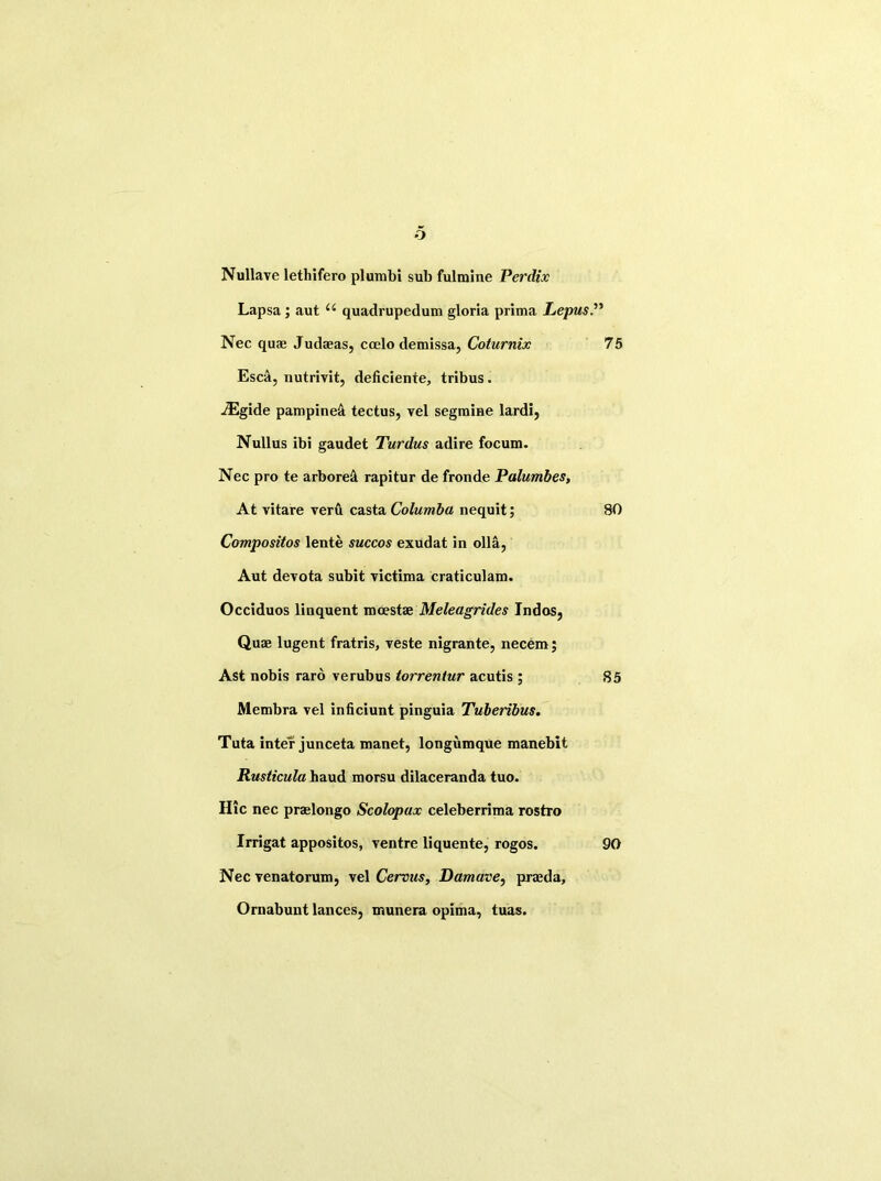 Nullave lethifero plumbi sub fulmine Perdix Lapsa; aut ec quadrupedum gloria prima Lepus Nec quae Judaeas, ccelo demissa, Coturnix 75 Esca, nutrivit, deficiente, tribus. jEgide pampineA tectus, vel segmine lardi, Nullus ibi gaudet Turdus adire focum. Nec pro te arboreS. rapitur de fronde Palumbes, At vitare veru casta Columba nequit; 80 Compositos lente succos exudat in olla, Aut devota subit victima craticulam. Occiduos linquent mcestae Meleagrides Indos, Quae lugent fratris, veste nigrante, necem; Ast nobis raro verubus torrentur acutis ; 85 Membra vel inficiunt pinguia Tuberibus. Tuta inter junceta manet, longumque manebit Rusticula haud morsu dilaceranda tuo. Hie nec praelongo Scolopax celeberrima rostro Irrigat appositos, ventre liquente, rogos. 90 Nec venatorum, vel Cervus, Damave, praeda, Ornabunt lances, munera opima, tuas.