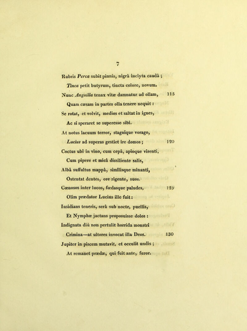 Rubris Perea subit pinnis, nigra inclyta cauda ; Tinea petit butyrum, tincta colore, novum. Nunc Anguilla tenax vitae damnatur ad ollam, 115 Quam caesam in partes olla tenere nequit: Se rotat, et volvit, medios et saltat in ignes, Ac si speraret se superesse sibi. At notus lacuum terror, stagnique vorago, Lucius ad superas gestiet ire domos ; 120 Coctus ubi in vino, cum cep&, apioque virenti, Cum pipere et midi dissiliente salis, Alba suffultus mappa, similisque minanti, Ostentat dentes, ore rigente, suos. Coenosos inter lucos, feedasque paludes, 125 Olim praedator Lucius ille fuit: Insidians teneris, sera sub nocte, puellis, Et Nymphae jactans proposuisse dolos : Indignata diu non pertulit horrida monstri Crimina—at ultores invocat ilia Deos. 130 Jupiter in piscem mutavit, et occulit undis ; At remanet praedae, qui fuit ante, furor.