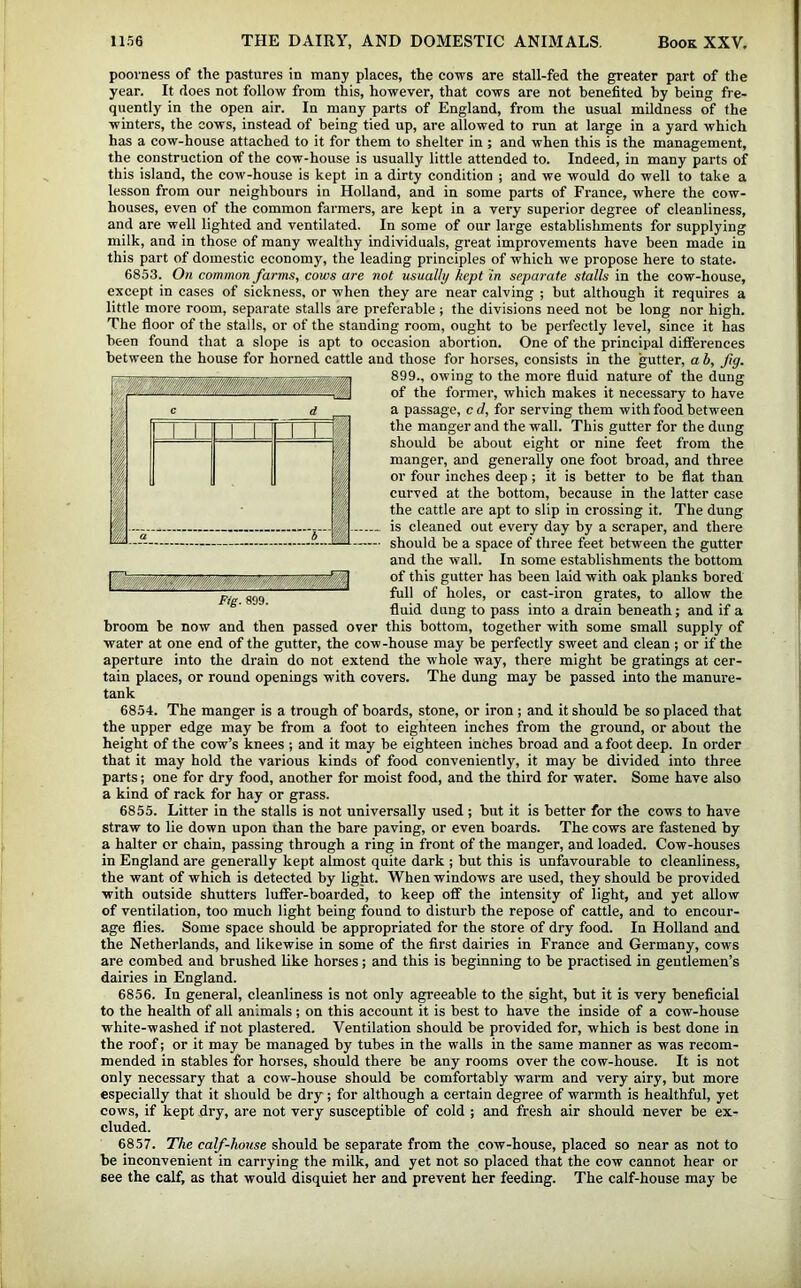 poorness of the pastures in many places, the cows are stall-fed the greater part of the year. It does not follow from this, however, that cows are not benefited by being fre- quently in the open air. In many parts of England, from the usual mildness of the winters, the cows, instead of being tied up, are allowed to run at large in a yard which has a cow-house attached to it for them to shelter in ; and when this is the management, the construction of the cow-house is usually little attended to. Indeed, in many parts of this island, the cow-house is kept in a dirty condition ; and we would do well to take a lesson from our neighbours in Holland, and in some parts of France, where the cow- houses, even of the common farmers, are kept in a very superior degree of cleanliness, and are well lighted and ventilated. In some of our large establishments for supplying milk, and in those of many wealthy individuals, great improvements have been made in this part of domestic economy, the leading principles of which we propose here to state. 6853. On common farms, cows are not usually kept in separate stalls in the cow-house, except in cases of sickness, or when they are near calving ; but although it requires a little more room, separate stalls are preferable; the divisions need not be long nor high. The floor of the stalls, or of the standing room, ought to be perfectly level, since it has been found that a slope is apt to occasion abortion. One of the principal differences between the house for horned cattle and those for horses, consists in the gutter, a b, fig. 899., owing to the more fluid nature of the dung of the former, which makes it necessary to have a passage, c d, for serving them with food between the manger and the wall. This gutter for the dung should be about eight or nine feet from the manger, and generally one foot broad, and three or four inches deep ; it is better to be flat than curved at the bottom, because in the latter case the cattle are apt to slip in crossing it. The dung is cleaned out every day by a scraper, and there should be a space of three feet between the gutter and the wall. In some establishments the bottom of this gutter has been laid with oak planks bored full of holes, or cast-iron grates, to allow the fluid dung to pass into a drain beneath; and if a broom be now and then passed over this bottom, together with some small supply of water at one end of the gutter, the cow-house may be perfectly sweet and clean ; or if the aperture into tire drain do not extend the whole way, there might be gratings at cer- tain places, or round openings with covers. The dung may be passed into the manure- tank 6854. The manger is a trough of boards, stone, or iron ; and it should be so placed that the upper edge may be from a foot to eighteen inches from the ground, or about the height of the cow’s knees ; and it may be eighteen inches broad and a foot deep. In order that it may hold the various kinds of food conveniently, it may be divided into three parts; one for dry food, another for moist food, and the third for water. Some have also a kind of rack for hay or grass. 6855. Litter in the stalls is not universally used ; but it is better for the cows to have straw to lie down upon than the bare paving, or even boards. The cows are fastened by a halter or chain, passing through a ring in front of the manger, and loaded. Cow-houses in England are generally kept almost quite dark ; but this is unfavourable to cleanliness, the want of which is detected by light. When windows are used, they should be provided with outside shutters luifer-boarded, to keep off the intensity of light, and yet allow of ventilation, too much light being found to disturb the repose of cattle, and to encour- age flies. Some space should be appropriated for the store of dry food. In Holland and the Netherlands, and likewise in some of the first dairies in France and Germany, cows are combed and brushed like horses; and this is beginning to be practised in gentlemen’s dairies in England. 6856. In general, cleanliness is not only agreeable to the sight, but it is very beneficial to the health of all animals ; on this account it is best to have the inside of a cow-house white-washed if not plastered. Ventilation should be provided for, which is best done in the roof; or it may be managed by tubes in the walls in the same manner as was recom- mended in stables for horses, should there be any rooms over the cow-house. It is not only necessary that a cow-house should be comfortably wann and very airy, but more especially that it should be dry; for although a certain degree of warmth is healthful, yet cows, if kept dry, are not very susceptible of cold ; and fresh air should never be ex- cluded. 6857. The calf-house should be separate from the cow-house, placed so near as not to be inconvenient in carrying the milk, and yet not so placed that the cow cannot hear or see the calf, as that would disquiet her and prevent her feeding. The calf-house may be Fig. 899.