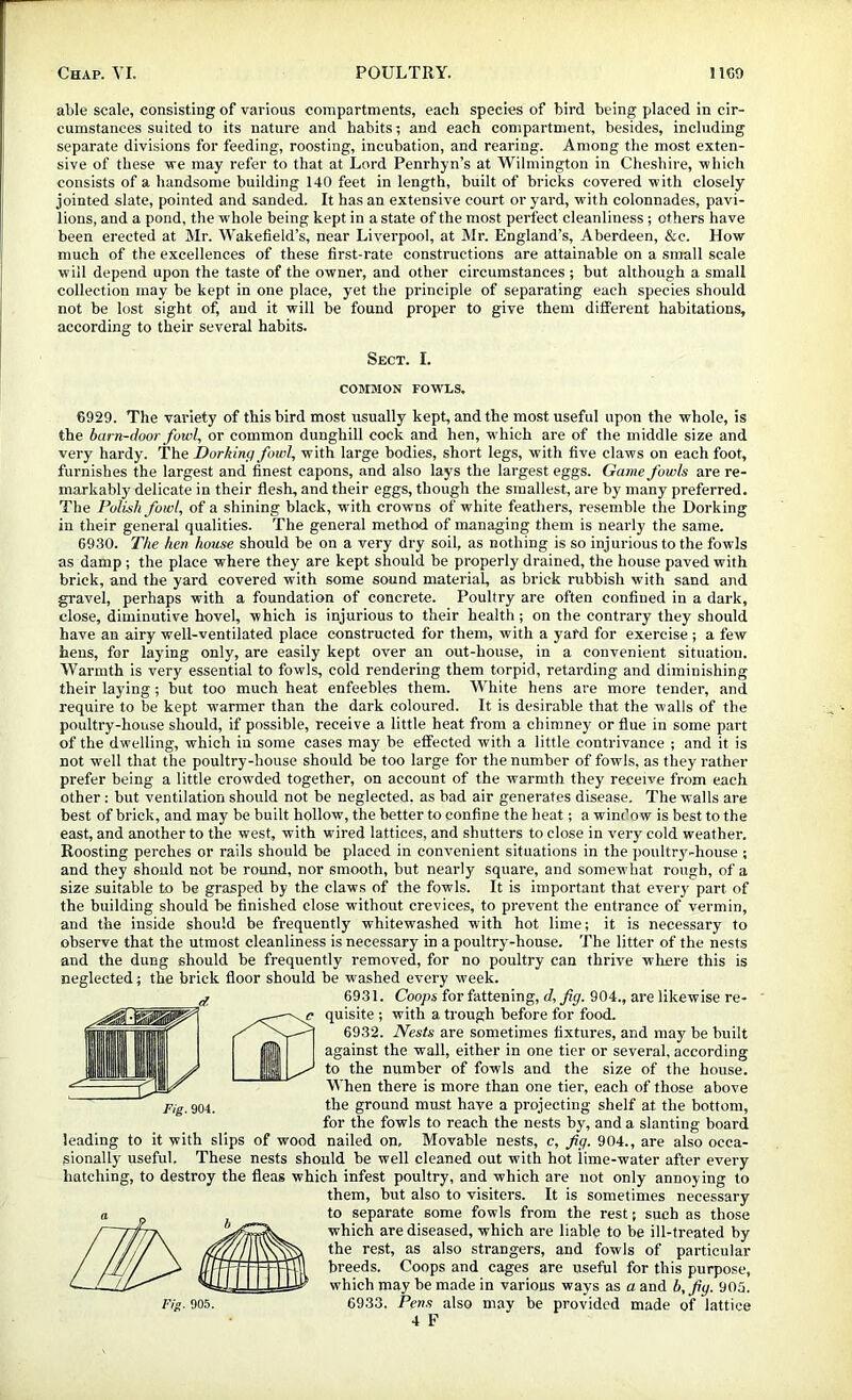 able scale, consisting of various compartments, each species of bird being placed in cir- cumstances suited to its nature and habits; and each compartment, besides, including separate divisions for feeding, roosting, incubation, and rearing. Among the most exten- sive of these rve may refer to that at Lord Penrhyn’s at Wilmington in Cheshire, ■which consists of a handsome building 140 feet in length, built of bricks covered with closely jointed slate, pointed and sanded. It has an extensive court or yard, with colonnades, pavi- lions, and a pond, the whole being kept in a state of the most perfect cleanliness; others have been erected at Mr. Wakefield’s, near Liverpool, at Mr. England’s, Aberdeen, &c. How much of the excellences of these first-rate constructions are attainable on a small scale will depend upon the taste of the owner, and other circumstances ; but although a small collection may be kept in one place, yet the principle of separating each species should not be lost sight of, and it will be found proper to give them different habitations, according to their several habits. Sect. I. COMMON FOWLS. 6929. The variety of this bird most usually kept, and the most useful upon the whole, is the barn-door fowl, or common dunghill cock and hen, which are of the middle size and very hardy. The JDorking fowl, with large bodies, short legs, with five claws on each foot, furnishes the largest and finest capons, and also lays the largest eggs. Game fowls are re- markably delicate in their flesh, and their eggs, though the smallest, are by many preferred. The Polish fowl, of a shining black, with crowns of white feathers, resemble the Dorking in their general qualities. The general method of managing them is nearly the same. 6930. The hen house should be on a very dry soil, as nothing is so injurious to the fowls as damp ; the place where they are kept should be properly drained, the house paved with brick, and the yard covered with some sound material, as brick rubbish with sand and gravel, perhaps with a foundation of concrete. Poultry are often confined in a dark, close, diminutive hovel, which is injurious to their health ; on the contrary they should have an airy well-ventilated place constructed for them, with a yard for exercise ; a few bens, for laying only, are easily kept over an out-house, in a convenient situation. Warmth is very essential to fowls, cold rendering them torpid, retarding and diminishing their laying ; but too much heat enfeebles them. White hens are more tender, and require to be kept warmer than the dark coloured. It is desirable that the walls of the poultry-house should, if possible, receive a little heat from a chimney or flue in some part of the dwelling, which in some cases may be effected with a little contrivance ; and it is not well that the poultry-house should be too large for the number of fowls, as they rather prefer being a little crowded together, on account of the warmth they receive from each other : but ventilation should not be neglected, as had air generates disease. The walls are best of brick, and may be built hollow, the better to confine the heat; a window is best to the east, and another to the west, with wired lattices, and shutters to close in very cold weather. Roosting perches or rails should be placed in convenient situations in the poultry-house ; and they should not be round, nor smooth, but nearly square, and somewhat rough, of a size suitable to be grasped by the claws of the fowls. It is important that every part of the building should be finished close without crevices, to prevent the entrance of vermin, and the inside should be frequently whitewashed with hot lime; it is necessary to observe that the utmost cleanliness is necessary in a poultry-house. The litter of the nests and the dung should be frequently removed, for no poultry can thrive where this is neglected; the brick floor should be washed every week. 6931. Coops for fattening, d, fig. 904., are likewise re- quisite ; with a trough before for food. 6932. Nests are sometimes fixtures, and may be built against the wall, either in one tier or several, according to the number of fowls and the size of the house. When there is more than one tier, each of those above the ground must have a projecting shelf at the bottom, for the fowls to reach the nests by, and a slanting board leading to it with slips of wood nailed on. Movable nests, c, fig. 904., are also occa- sionally useful. These nests should be well cleaned out with hot lime-water after every hatching, to destroy the fleas which infest poultry, and which are not only annoying to them, but also to visiters. It is sometimes necessary to separate some fowls from the rest; such as those which are diseased, which are liable to be ill-treated by the rest, as also strangers, and fowls of particular breeds. Coops and cages are useful for this purpose, which may be made in various ways as a and b, fig. 905. 6933. Pens also may be provided made of lattice 4 P Fig. 904. Fig. 905.