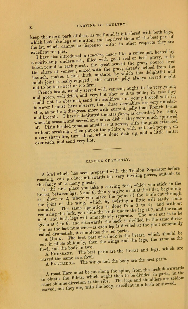 keep their owe perk of .leer, as we which look like legs of mutton, anjl deprived them o 1 arc the fat, which cannot be dispensed with. m otner t excellent for pies. . j6 like a coffee-pot, heated by I have also introduced & sau , veai or beef gravy, to be a spirit-lamp underneath, tilled wi g poured over taken round to each guestthe great heatfrora the the shoes of venison '-dh ‘h gravy a^ ^ d Seldi^t'reahy^oT^ the cmi J icily always served ought °°^zz™X°p tt ;eht“;r.fUe and green, well dried, and very liflower or young brocoli with it; could not be obtained, sen P vegetables are very unpalat- however I must here obseive, th S ■ Uy than French beans able, as nothing disagrees more with curra 3 7 escribed No. 1099, and brocoli. I have approved It;- im%Pem.°when loJ dish up, add a little butter over each, and send very hot. CARVING OF POULTRY. the fancy of as many guests. . - k which vou stick in the In the first placeyoutakeacar ? ^ ^ atthe fillet, beginning breast, between figs. 5 and 6, then y B of the knife cut through at 1 down to 2, where you make the^ ^ ^ ^ easily comc the joint of the wing, win y S 3 to 4; and without asunder. The same operation i> done tve ^ ^ &nd the same SJSSTbS :teSArebc! K^hV^rh^^ «ded at the ioiut commouiy called drumstick, it completes the ten parte. should be A Duck. The best part of a duck is ti e oreas , as ^ cut in fillets obliquely, then the wings and the legs, parts are the breast and legs, which arc CTp—Tta wiugs and the body arc the best parts. to obtain the fillets, d shoulders are seldom iu a hash or stewed.