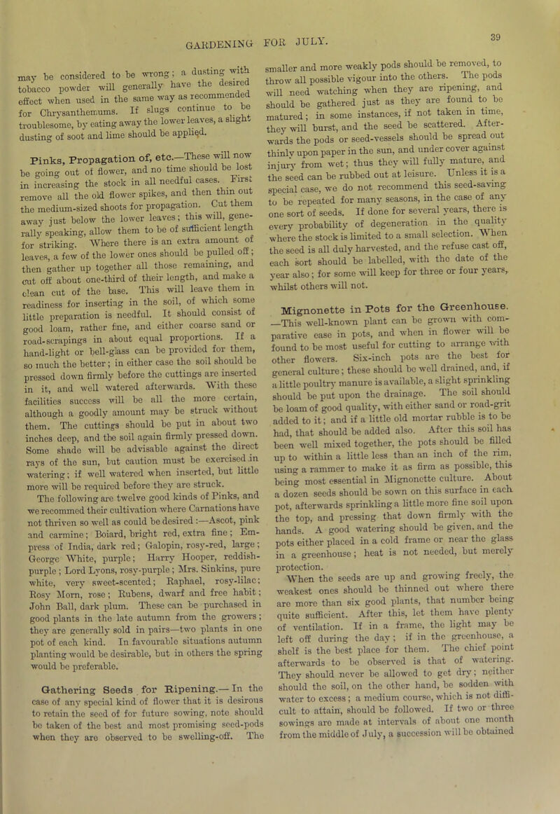 may be considered to be wrong; a dusting with tobacco powder will generally have the esire effect when used in the same way as recommended for Chrysanthemums. If slugs continue to be troublesome, by eating away the lower leaves, a sligh. dusting of soot and lime should be applied. Pinks, Propagation of, etc.-These wfll now be going out of flower, and no time should be lost in increasing the stock in all needful cases Firs, remove all the old flower spikes, and then thinout the medium-sized shoots for propagation. Cut them away just below the lower leaves; this will, gene- rail}' speaking, allow them to be of sufficient length for striking. Where there is an extra amount of leaves, a few of the lower ones should be pulled off; then gather up together all those remaining, and cait off about one-tkird of their length, and make a clean cut of the base. This will leave them m readiness for inserting in the soil, of which some little preparation is needful. It should consist of good loam, rather fine, and either coarse sand or road-scrapings in atout equal proportions. If a hand-light or bell-glass can be provided for them, so much the better; in either case the soil should be pressed down firmly before the cuttings are inserted in it, and well watered afterwards. With these facilities success will be all the more certain, although a goodly amount may be struck without them. The cuttings should be put in about two inches deep, and the soil again firmly pressed down. Some shade will be advisable against the direct rays of the sun, but caution must be exercised in watering; if well watered when inserted, but little more will be required before they are struck. The following are twelve good kinds of Pinks, and we recommcd their cultivation where Carnations hav e not thriven so well as could be desired :—Ascot, pink and carmine; Boiard, bright red, extra fine ; Em- press of India, dark red; Galopin, rosy-red, large; George White, purple; Harry Hooper, reddish- purple ; Lord Lyons, rosy-purple ; Sirs. Sinkins, pure white, very sweet-scented; Raphael, rosy-lilac; Rosy Morn, rose; Rubens, dwarf and free habit; John Ball, dark plum. These can be purchased in good plants in the late autumn from the growers; they are generally sold in pairs—two plants in one pot of each kind. In favourable situations autumn planting would be desirable, but in others the spring would be preferable. Gathering Seeds for Ripening.— In the case of any special kind of flower that it is desirous to retain the seed of for future sowing, note should be taken of the best and most promising seed-pods when they are observed to be swelling-off. The smaller and more weakly pods should be removed, to throw all possible vigour into the others. I he pods will need watching when they are ripening, and should be gathered just as they are found to be matured; in some instances, if not taken in time, they will burst, and the seed be scattered. After- wards the pods or seed-vessels should be spread out thinlv upon paper in the sun, and under cover against injury from wet; thus they will fully mature, and the seed can be rubbed out at leisure. Unless it is a special case, we do not recommend this seed-saving to be repeated for many seasons, in the case of any one sort of seeds. If done for several years, there is every probability of degeneration in the quality where the stock is limited to a small selection. When the seed is all duly harvested, and the refuse cast off, each sort should be labelled, with the date of the year also; for some will keep for three or four years, whilst others will not. Mignonette in Pots for the Greenhouse. This well-known plant can be grown with com- parative ease in pots, and when in flower will be found to be most useful for cutting to arrange with other flowers. Six-inch pots are the best for general culture; these should be well drained, and, if a little poultry manure is available, a slight sprinkling should be put upon the drainage. The soil should be loam of good quality, with either sand or road-grit added to it; and if a little old mortar rubble is to be had, that should be added also. After this soil has been well mixed together, the pots should be filled up to within a little less than an inch of the rim, using a rammer to make it as firm as possible, this being most essential in Mignonette culture. About a dozen seeds should be sown on this surface in each pot, afterwards sprinkling a little more fine soil upon the top, and pressing that down firmly with the hands. A good watering should be given, and the pots either placed in a cold frame or near the glass in a greenhouse; heat is not needed, but merel} protection. When the seeds are up and growing freely, the weakest ones should be thinned out where there are more than six good plants, that number being quite sufficient. After this, let them have plenty of ventilation. If in a frame, the light may be loft off during the day ; if in the greenhouse, a shelf is the best place for them. The chief point afterwards to bo observed is that of watering. They should never be allowed to get dry; neither should the soil, on the other hand, be sodden with water to excess; a medium course, which is not diffi- cult to attain, should be followed. If two or three sowings are made at intervals of about one month from the middle of July, a succession will be obtained