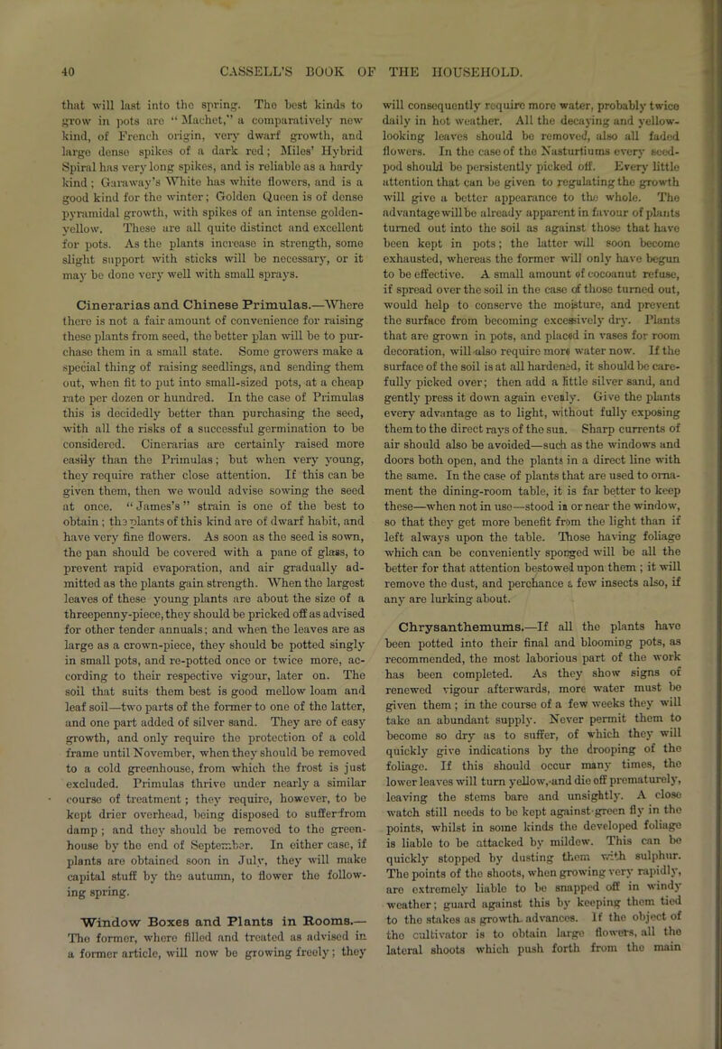 that will last into the spring. Tho host kinds to grow in pots are “ Machet,” a comparatively new kind, of French origin, very dwarf growth, and large dense spikes of a dark red; Miles’ Hybrid Spiral has very long spikes, and is reliable as a hardy kind; Garaway’s White has white flowers, and is a good kind for the winter; Golden Queen is of dense pyramidal growth, with spikes of an intense golden- yellow. These are all quite distinct and excellent for pots. As the plants increase in strength, some slight support with sticks will be necessary, or it may be done very well with small sprays. Cinerarias and Chinese Primulas.—Where there is not a fair amount of convenience for raising these plants from seed, the better plan will be to pur- chase them in a small state. Some growers make a special thing of raising seedlings, and sending them out, when fit to put into small-sized pots, at a cheap rate per dozen or hundred. In the case of Primulas this is decidedly better than purchasing the seed, with all the risks of a successful germination to be considered. Cinerarias are certainly raised more easily than the Primulas; but when very young, they require rather close attention. If this can be given them, then we would advise sowing the seed at once. “ James’s ” strain is one of the best to obtain; the plants of this kind are of dwarf habit, and have very fine flowers. As soon as the seed is sown, the pan should be covered with a pane of glass, to prevent rapid evaporation, and air gradually ad- mitted as the plants gain strength. When the largest leaves of these young plants are about the size of a threepenny-piece, they should be pricked off as advised for other tender annuals; and when the leaves are as large as a crown-piece, they should be potted singly in small pots, and re-potted once or twice more, ac- cording to their respective vigour, later on. The soil that suits them best is good mellow loam and leaf soil—two parts of the former to one of the latter, and one part added of silver sand. They are of easy growth, and only require the protection of a cold frame until November, when they should be removed to a cold greenhouse, from which the frost is just excluded. Primulas thrive under nearly a similar course of treatment; they require, however, to be kept drier overhead, being disposed to suffer-from damp ; and they should be removed to the green- house by tho end of September. In either case, if plants are obtained soon in July, they will make capital stuff by the autumn, to flower the follow- ing spring. Window Boxes and Plants in Booms.— Tho former, where filled and treated as advised in a former article, will now be growing freoly; they will consequently require more water, probably twice daily in hot weather. All the decaying and yellow- looking leaves should be removed, also all faded flowers. In the case of the Nasturtiums every' seed- pod should be persistently picked off. Every little attention that can be given to regulating the growth will give a better appearance to the whole. The advantage willbe already apparent in favour of plants turned out into the soil as against those that have been kept in pots; the latter will soon become exhausted, whereas the former will only have begun to be effective. A small amount of cocoanut refuse, if spread over the soil in the case of those turned out, would help to conserve the moisture, and prevent the surface from becoming excessively dry. Plants that are grown in pots, and placed in vases for room decoration, will -also require more water now. If the surface of the soil is at all hardened, it should be care- fully picked over; then add a little silver sand, and gently press it down again evenly. Give the plants every advantage as to light, without fully exposing them to the direct rays of the sun. Sharp currents of air should also be avoided—such as the windows and doors both open, and the plants in a direct line with the same. In the case of plants that are used to orna- ment the dining-room table, it is far better to keep these—when not in use—stood in or near the window, so that they get more benefit from the light than if left always upon the table. Those having foliage which can be conveniently' sponged w’ill be all the better for that attention bestowed upon them ; it will remove the dust, and perchance a few insects also, if any' are lurking about. Chrysanthemums.—If all the plants have been potted into their final and blooming pots, as recommended, the most laborious part of the work has been completed. As they show signs of renewed vigour afterwards, more water must be given them ; in the course of a few weeks they w’ill take an abundant supply. Never permit them to become so dry as to suffer, of which they will quickly give indications by the drooping of the foliage. If this should occur many times, the lower leaves will turn yellow',-and die off prematurely, leaving the stems bare and unsightly. A close w'atch still needs to be kept against green fly in tho points, whilst in some kinds the developed foliage is liablo to be attacked by mildew. This can be quickly' stopped by' dusting them with sulphur. The points of the shoots, when growing very rapidly, are extremely' liablo to be snapped off in windy weather; guard against this by keeping them tied to the stakes as growth- advances. If the object of tho cultivator is to obtain large flowers, all the lateral shoots which push forth from the main