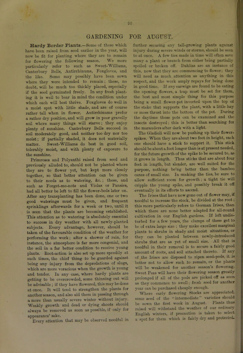 00 GARDENING FOR AUGUST. Hardy Border Plants.—Some of these which have been raised from seed earlier in the year, will now be fit for planting where they are to remain for flowering the following season. We more particularly refer to such as Sweet-Williams, Canterbury Bells, Antirrhinums, Foxgloves, and the like. Some may possibly have been sown where they were intended to remain; these, no doubt, will be much too thickly placed, especially if the seed germinated freely. In any fresh plant- ing it is well to bear in mind the condition under which each will best thrive. Foxgloves do well in a moist spot with little shade, and are of course rather tall when in flower. Antirrhinums prefer a rather dry position, and will grow in poor gravelly soil where many things will starve; they enjoy plenty of sunshine. Canterbury Bells succeed in soil moderately good, and neither too dry nor too moist; if partially shaded, it does not materially matter. Sweet-Williams do best in good soil, tolerably moist, and with plenty of exposure to the sunshine. Primroses and Polyanthi raised from seed and previously alluded to, should not be planted where they are to flower yet, but kept more closely together, so that better attention can be given to their needs as to watering, &c.; these, and such as Forget-me-nots and Violas or Pansies, had all better be left to fill the flower-beds later on. After any transplanting has been done, one or two good waterings must be given, and frequent sprinklings afterwards for a week or two, until it is seen that the plants are becoming established. This attention as to watering is absolutely essential to success in dry weather with all newly-planted subjects. Every advantage, however, should be taken of the favourable condition of the weather for performing the work; after a shower of rain, for instance, the atmosphere is far more congenial, and the soil in a far better condition to receive young plants. Root-action is also set up more speedily at such times, the chief thing to be guarded against being any injury from the depredations of slugs, which are more voracious when the growth is young and tender. In any case, where hardy plants are getting to be overcrowded, some thinning out will be advisable ; if they have flowered, this may be done at once. It will tend to strengthen the plants for another season, and also aid them in passing through a more than usually severe winter without injury. Weakly growth and dead or dying shoots should always be removed as soon as possible, if only for appearance’ sake. Every attention that may be observed needful in further securing any tall-growing plants against inj ury during severe winds or storms, should be seen to at once. A few ties made in time will often save many a plant or branch from either being partially spoiled or broken off. Dahlias are an instance of this, now that they are commencing to flower; they will need as much attention as anything in this respect, and the work amply repays for being done in good time. If any earwigs are found to be eating the opening flowers, a trap must be set for them, the best and most simple thing for this purpose being a small flower-pot inverted upon the top of the stake that supports the plant, with a little hay or moss thrust into the bottom of the pot. During the daytime these pots can be examined and the insects destroyed; this is better than searching for the marauders after dark with a light. The Gladioli will now be pushing up their flower- spikes. When they are about two feet in height, each one should have a stick to support it. This stick should be about a foot longer than is at present needed, for the future growth of the spike to be secured to, as it grows in length. Thus sticks that are about four feet in length, but slender, are well suited for the purpose, nothing be’ng better than the bamboo canes of small size. In 'making the ties, he sure to allow sufficient room for growth ; a tight tie will cripple the young spike, and possibly break it off eventually in its efforts to ascend. The Irises that have now7 gone out of flower may, if needful to increase the stock, be divided at the root; this more particularly refers to German Irises, than which there are none better adapted for all-round cultivation in our English gardens. If left undis- turbed for a few years, the clumps of these get to be of extra large size ; they make excellent marginal plants to shrubs in shady and moist situations, or they can be planted between newly-introduced shrubs that are as yet of small size. All that is needful in their removal is to secure a fairly good amount of roots, and soil attached thereto. If any of the Irises are disposed to ripen seed-pods, it is better not to allow such to remain, or the plants w7ill be weakened for another season's flowering. Sweet Peas will have their flowering season greatly prolonged if all of the pods are picked off as soon as they commence to swell; fresh seed for another year can he purchased cheaply enough. Where early flowering Stocks are appreciated, some seod of the “ intermediate varieties should be sown the first week in August. Plants thus raised will withstand the weather of our ordinary English winters, if precaution is taken to select a spot for them which is fairly dry and protected.