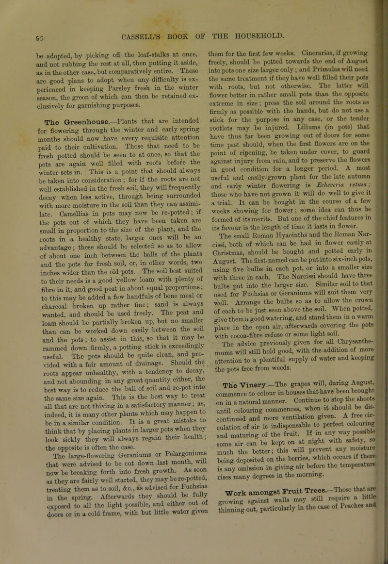 be adopted, by picking ofi the leaf-stalks at once, and not rubbing the rost at all, then putting it aside, as in the other case, but comparatively entire. These are good plans to adopt when any difficulty is ex- perienced in keeping Parsley fresh in the winter season, the green of which can then be retained ex- clusively for garnishing purposes. The Greenhouse.—Plants that are intended for flowering through the winter and early spring months should now have every requisite attention paid to their cultivation. Those that need to be fresh potted should be seen to at once, so that the pots are again well filled with roots before the winter sets in. This is a point that should always be taken into consideration ; for if the roots are not well established in the fresh soil, they will frequently decay when less active, through being surrounded with more moisture in the soil than they can assimi- late. Camellias in pots may now be re-potted; if the pots out of which they have been taken are small in proportion to the size of the plant, and the roots in a healthy state, larger ones will be an advantage; these should be selected so as to allow of about one inch between the balls of the plants and the pots for fresh soil, or, in other words, two inches wider than the old pots. The soil best suited to their needs is a good yellow loam with plenty of fibre in it, and good peat in about equal proportions; to this may be added a few handfuls of bone meal or charcoal broken up rather fine; sand is always wanted, and should be used freely. The peat and loam should be partially broken up, but no smaller than can he worked down easily between the soil and the pots; to assist in this, so that it may be rammed down firmly, a potting stick is exceedingly useful. The pots should be quite clean, and pro- vided with a fair amount of drainage. Should the roots appear unhealthy, with a tendency to decay, and not abounding in any great quantity either, the best way is to reduce the ball of soil and re-pot into the same size again. This is the hest way to treat all that are not thiving in a satisfactory manner; as, indeed, it is many other plants which may happen to be in a similar condition. It is a great mistake to think that by placing plants in larger pots when they look sickly they will always regain their health, the opposite is often the case. The large-flowering Geraniums or Pelargoniums that were advised to be cut down last month, will now be breaking forth into fresh growth. As soon as they are fairly well started, they may be re-potted, treating them as to soil, &c., as advised for Fuchsias in the spring. Afterwards they should bo fully exposed to all the light possible, and either out of doors or in a cold frame, with but little water given them for the first few weeks. Cinerarias, if growing freely, should be potted towards the end of August into pots one size larger only; and Primulas will need the same treatment if they have well filled their pots with roots, but not otherwise. The latter will flower better in rather small pots than the opposite extreme in size; press the soil around the roots as firmly as possible with the hands, but do not use a stick for the purpose in any case, or the tender rootlets may be injured. Liliums (in pots) that have thus far been growing out of doors for some time past should, when the first flowers are on the point of ripening, be taken under cover, to guard against injury from rain, and to preserve the flowers in good condition for a longer period. A most useful and easily-grown plant for the late autumn and early winter flowering is Eclieveria retina; those who have not grown it will do well to give it a trial. It can be bought in the course of a few weeks showing for flower; some idea can thus be formed of its merits. But one of the chief features in its favour is the length of time it lasts in flower. The small Roman Hyacinths and the Roman Nar- cissi, both of which can be had in flower easily at Christmas, should be bought and potted early in August. The first-named can he put into six-inch pots, usin<r five bulbs in each pot, or into a smaller size with three in each. The Narcissi should have three bulbs put into the larger size. Similar soil to that used for Fuchsias or Geraniums will suit them very well. Arrange the bulbs so as to allow the crown of each to be just seen above the soil. When potted, give them a good watering, and stand them in a warm place in the open air, afterwards covering the pots with cocoa-fibre refuse or some light soil. The advice previously given for all Chrysanthe- mums will still hold good, with the addition of more attention to a plentiful supply of water and keeping the pots free from weeds. The Vinery.—The grapes will, during August, commence to colour in houses that have been brought on in a natural manner. Continue to stop the shoots until colouring commences, when it should be dis- continued and more ventilation given. A free cir- culation of air is indispensable to perfect colouring and maturing of the fruit. If in any way possible some air can be kept on at night with safety, so much the better; this will prevent any moisture being deposited on the berries, which occurs if there is any omission in giving air before the temperature rises many degrees in the morning. Work amongst Fruit Trees.-Thosc that are growing against walls may still require a little fhinning out, purticulutly in the on* of f’oacho. »nd