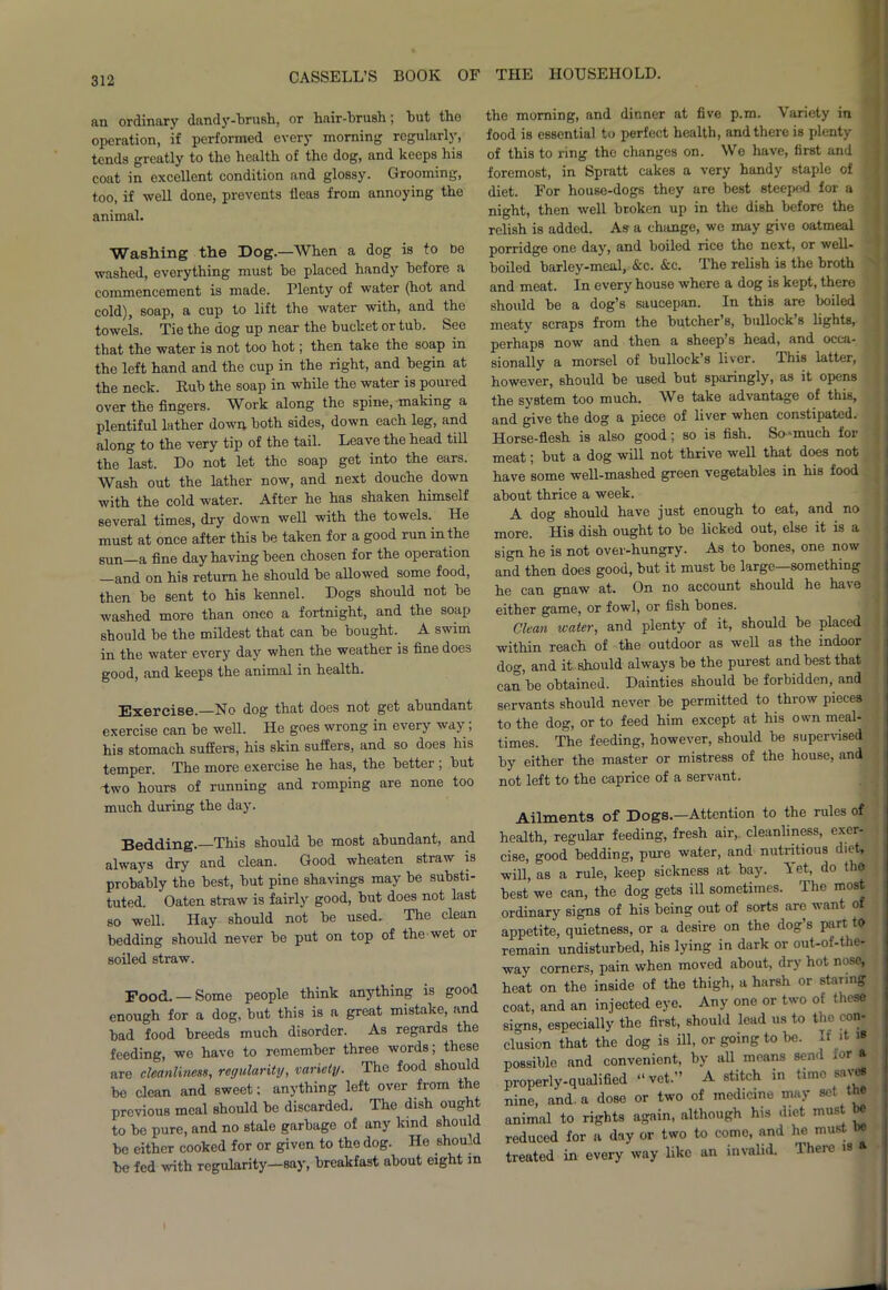 an ordinary dandy-brush, or hair-brush; hut the operation, if performed every morning regularly, tends greatly to the health of the dog, and keeps his coat in excellent condition and glossy. Grooming, too, if well done, prevents fleas from annoying the animal. Washing the Dog.—When a dog is to be washed, everything must he placed handy before a commencement is made. Plenty of water (hot and cold), soap, a cup to lift the water with, and the towels. Tie the dog up near the bucket or tub. See that the water is not too hot; then take the soap in the left hand and the cup in the right, and begin at the neck. Rub the soap in while the water is poured over the fingers. W^ork along the spine, making a plentiful lather down both sides, down each leg, and along to the very tip of the tail. Leave the head till the last. Do not let the soap get into the ears. Wash out the lather now, and next douche down ■with the cold water. After he has shaken himself several times, dry down well with the towels. He must at once after this be taken for a good run in the sun a fine day having been chosen for the operation and on his return he should be allowed some food, then be sent to his kennel. Dogs should not be washed more than once a fortnight, and the soap should be the mildest that can be bought. A swim in the water every day when the weather is fine does good, and keeps the animal in health. Exercise.—No dog that does not get abundant exercise can be well. He goes wrong in every way; his stomach suffers, his skin suffers, and so does his temper. The more exercise he has, the better ; but two hours of running and romping are none too much during the day. Bedding.—This should be most abundant, and always dry and clean. Good wheaten straw is probably the best, but pine shavings may be substi- tuted. Oaten straw is fairly good, but does not last so well. Hay should not be used. The clean bedding should never be put on top of the wet or soiled straw. Pood. — Some people think anything is good enough for a dog, but this is a great mistake, and bad food breeds much disorder. As regards the feeding, we have to remember three words; these are cleanliness, regularity, variety. The food should be clean and sweet; anything left over from the previous meal should bo discarded. The dish ought to be pure, and no stale garbage of any kind should be either cooked for or given to the dog. He should be fed with regularity—say, breakfast about eight in the morning, and dinner at five p.m. Variety in food is essential to perfect health, and there is plenty of this to ring the changes on. We have, first and foremost, in Spratt cakes a very handy staple of diet. For house-dogs they are best steeped for a night, then well broken up in the dish before the relish is added. As a change, we may give oatmeal porridge one day, and boiled rice the next, or well- boiled barley-meal, &c. &c. The relish is the broth and meat. In every house where a dog is kept, there should be a dog’s saucepan. In this are boiled meaty scraps from the butcher’s, bullock’s lights, perhaps now and then a sheep s head, and occa- sionally a morsel of bullock’s liver. This latter, however, should be used but sparingly, as it opens the system too much. We take advantage of this, and give the dog a piece of liver when constipated. Horse-flesh is also good; so is fish. So -much for meat; but a dog will not thrive well that does not have some well-mashed green vegetables in his food about thrice a week. A dog should have just enough to eat, and no more. His dish ought to be licked out, else it is a sign he is not over-hungry. As to bones, one now and then does good, but it must be large—something he can gnaw at. On no account should he have either game, or fowl, or fish bones. Clean water, and plenty of it, should be placed within reach of the outdoor as well as the indoor dog, and it should always be the purest and best that can be obtained. Dainties should be forbidden, and j servants should never be permitted to throw pieces to the dog, or to feed him except at his own meal- times. The feeding, however, should be supervised by either the master or mistress of the house, and not left to the caprice of a servant. Ailments of Dogs.—Attention to the rules of health, regular feeding, fresh air, cleanliness, exer- cise, good bedding, pure water, and nutritious diet, will, as a rule, keep sickness at bay. A et, do the best we can, the dog gets ill sometimes. The most ordinary signs of his being out of sorts are want of appetite, quietness, or a desire on the dog’s part to remain undisturbed, his lying in dark or out-of-the- way corners, pain when moved about, dry hot nose, heat on the inside of the thigh, a harsh or staring coat, and an injected eye. Any one or two of these smns, especially the first, should lead us to the con- clusion that the dog is ill, or going to be. It it >8 possible and convenient, by all means send tor & properly-qualified “vet.” A stitch in time saves nine, and. a dose or two of medicine may set tM I animal to rights again, although his diet must be reduced for a day or two to come, and he must do treated in every way like an invalid, lhere is