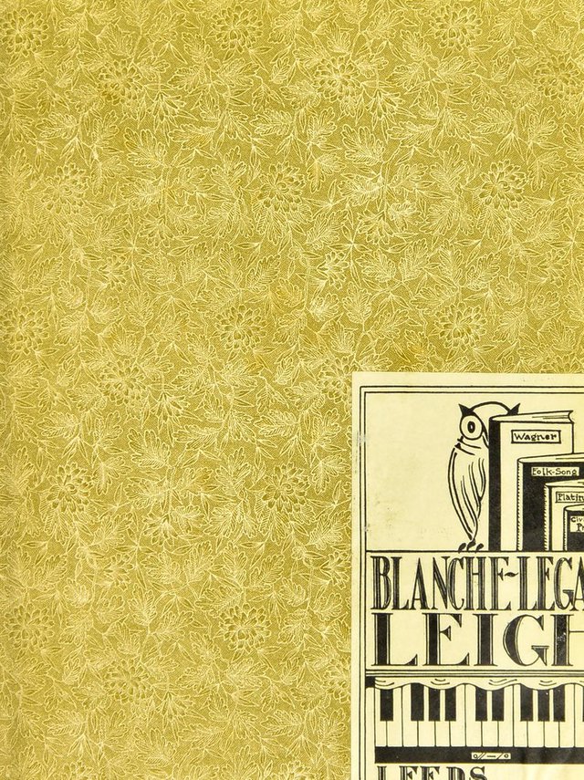 digitised image 2
