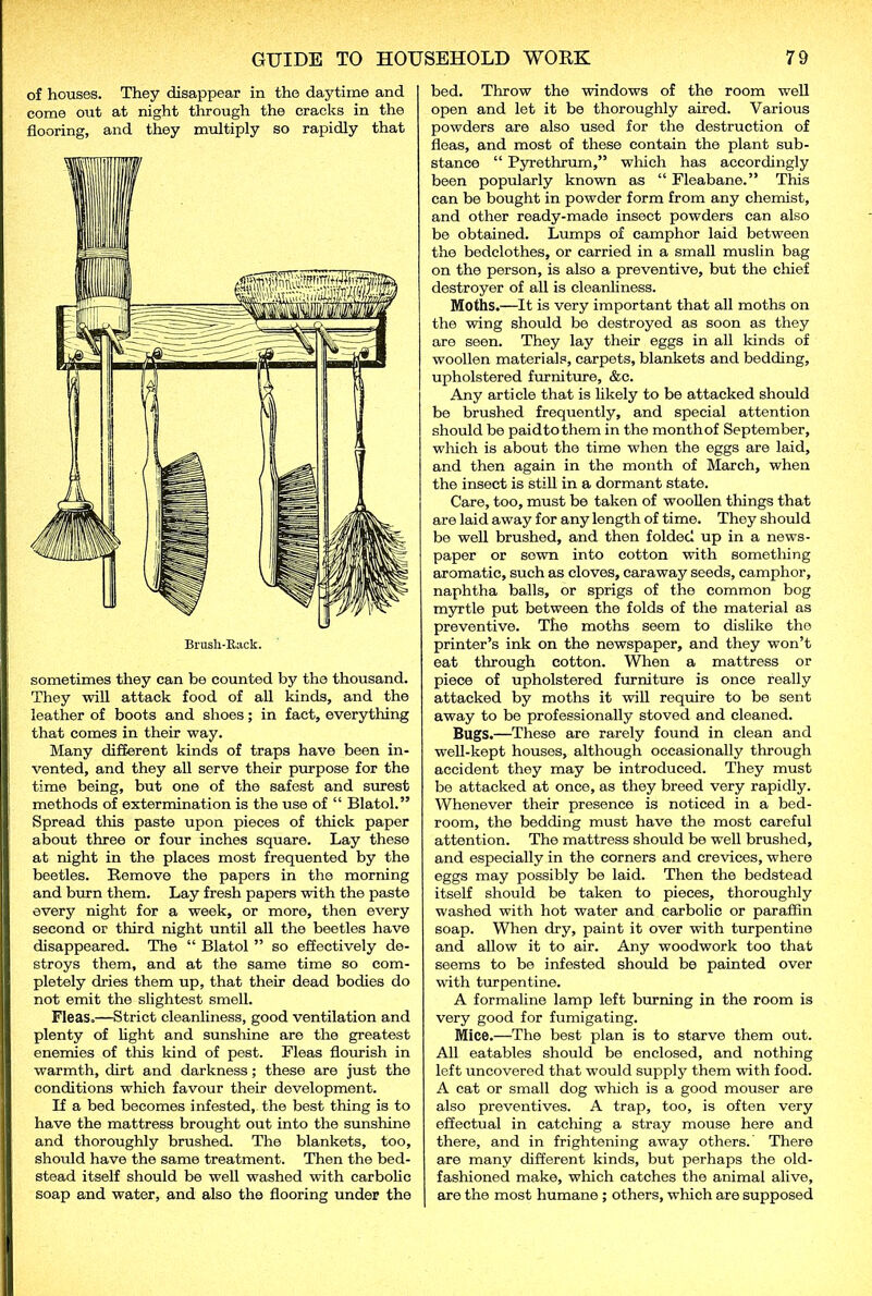 of houses. They disappear in the daytime and come out at night through the cracks in the flooring, and they multiply so rapidly that Brush-Rack. sometimes they can be counted by the thousand. They will attack food of all kinds, and the leather of boots and shoes; in fact, everything that comes in their way. Many different kinds of traps have been in- vented, and they all serve their purpose for the time being, but one of the safest and surest methods of extermination is the use of “ Blatol.” Spread this paste upon pieces of thick paper about three or four inches square. Lay these at night in the places most frequented by the beetles. Remove the papers in the morning and burn them. Lay fresh papers with the paste every night for a week, or more, then every second or third night until all the beetles have disappeared. The “ Blatol ” so effectively de- stroys them, and at the same time so com- pletely dries them up, that their dead bodies do not emit the slightest smell. Fleas,—Strict cleanliness, good ventilation and plenty of light and sunshine are the greatest enemies of this kind of pest. Fleas flourish in warmth, dirt and darkness; these are just the conditions which favour their development. If a bed becomes infested, the best thing is to have the mattress brought out into the sunshine and thoroughly brushed. The blankets, too, should have the same treatment. Then the bed- stead itself should be well washed with carbolic soap and water, and also the flooring under the bed. Throw the windows of the room well open and let it be thoroughly aired. Various powders are also used for the destruction of fleas, and most of these contain the plant sub- stance “ Pyrethrum,” which has accordingly been popularly known as “ Flea bane.” This can be bought in powder form from any chemist, and other ready-made insect powders can also be obtained. Lumps of camphor laid between the bedclothes, or carried in a small muslin bag on the person, is also a preventive, but the chief destroyer of all is cleanliness. Moths.—It is very important that all moths on the wing should be destroyed as soon as they are seen. They lay their eggs in all kinds of woollen materials, carpets, blankets and bedding, upholstered furniture, &c. Any article that is likely to be attacked should be brushed frequently, and special attention should be paidtothem in the monthof September, which is about the time when the eggs are laid, and then again in the month of March, when the insect is still in a dormant state. Care, too, must be taken of woollen things that are laid away for any length of time. They should be well brushed, and then folded up in a news- paper or sown into cotton with something aromatic, such as cloves, caraway seeds, camphor, naphtha balls, or sprigs of the common bog myrtle put between the folds of the material as preventive. The moths seem to dislike the printer’s ink on the newspaper, and they won’t eat through cotton. When a mattress or piece of upholstered furniture is once really attacked by moths it will require to be sent away to be professionally stoved and cleaned. Bugs.—These are rarely found in clean and well-kept houses, although occasionally through accident they may be introduced. They must be attacked at once, as they breed very rapidly. Whenever their presence is noticed in a bed- room, the bedding must have the most careful attention. The mattress should be well brushed, and especially in the corners and crevices, where eggs may possibly be laid. Then the bedstead itself should be taken to pieces, thoroughly washed with hot water and carbolic or paraffin soap. When dry, paint it over with turpentine and allow it to air. Any woodwork too that seems to be infested should be painted over with turpentine. A formaline lamp left burning in the room is very good for fumigating. Mice.—The best plan is to starve them out. All eatables should be enclosed, and nothing left uncovered that would supply them with food. A cat or small dog which is a good mouser are also preventives. A trap, too, is often very effectual in catching a stray mouse here and there, and in frightening away others. There are many different kinds, but perhaps the old- fashioned make, which catches the animal alive, are the most humane ; others, which are supposed