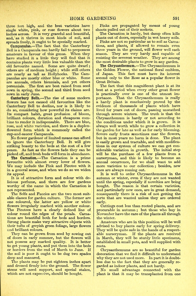 three ieet liigh, and the best varieties have single white, pink, or rose flowers about two inches across. It is very graceful and beautiful, and,'as it thrives in most kinds of soil, and spreads freely, it ought to be specially marked. Campanulas.—The fact that the Canterbury Bell is a Campanula can hardly fail to prepossess amateurs in favour of this genus. When they have studied it a little they will find that it contains plants very little less valuable than the old favourite named. Some are quite dwarf ; others are of medium height; while still others are nearly as tall as Hollyhocks. The Cam- panulas are mostly either blue or white. Some are annuals, others biennials, and yet others perennials. The first are best raised from seed sown in spring, the second and third from seed sown in early June. Canterbury Bells.—The rise of some modern flowers has not caused old favourites like the Canterbury Bell to decline, nor is it likely to do so, considering how powerful its claims are. Its compact habit, great profusion. of bloom, brilliant colours, duration and cheapness com- bine to render it indispensable. There are blue, rose, and white varieties, and there is a duplex- flowered form which is commonly called the cup-and-saucer Campanula. No flower gardener of limited means can afford to ignore the Canterbury Bell. It will give striking beauty to the beds at the cost of a few pence. As fast as the flowers fade they can be picked off, and fresh buds will form in abundance. The Carnation.—The Carnation is a prime favourite with almost every lover of flowers. We may include the Pink and Picotee with it in a general sense, and when we do so we widen its appeal. It is of attractive form and colour with de- licious perfume, and there are few gardens worthy of the name in which the Carnation is not represented. The Selfs and Fancies are the two most suit- able classes for garden culture. The former are one coloured, the latter are yellow or white flowers irregularly marked with another colour. The Picotees have a clearly defined line of colour round the edges of the petals. Carna- tions are beautiful both for beds and borders. Strong plants make very attractive objects with their tufts of greyish green foliage, large flowers and brilliant colours. They can be grown from seed by sowing out of doors in early summer, but the flowers will not possess any marked quality. It is better to get young plants, and put them into the beds or borders from the end of March to June. If the soil is poor it ought to be dug two spades deep and manured. The plants may be put eighteen inches apart and dressed firmly into the ground. The flower stems will need support, and special stakes, which are not expensive, should be bought. Pinks are propagated by means of young shoots pulled out of their sockets. The Carnation is hardy, but damp often kills plants out of doors, especially in wet heavy soils. Pinks are not so particular as to soil as Carna- tions, and plants, if allowed to remain even three years in the ground, will flower well each season. They are very hardy and capable of resisting the severest weather. They are among the most desirable plants to grow in any garden. The Chrysanthemum.—The Chrysanthemum is the Golden Flower, the national floral emblem, of Japan. This fact must have its interest second only to the Rose as a popular flower in Great Britain. The fact that this magnificent plant is at its best at a period when every other great flower is practically over is one of the utmost im- portance. That the Chrysanthemum is really a hardy plant is conclusively proved by the evidence of thousands of plants which have lived for years out of doors, passing unscathed through severe winters. The truth is that the Chrysanthemum is hardy or not according to the conditions under which it is grown. It is always well worth while to grow a collection in the garden for late as well as for early blooming. Severe early frosts sometimes mar the flowers, but in most years no harm is done. The plant is easily grown and tractable, and with modifica- tions in our system of culture we can get con- siderable variation in growth. The initial step will be the purchase of a few plants from a nurseryman, and this is likely to become an annual occurrence, for we shall want to add more varieties to our collection ; besides, new ones are always coming out. It is well to order Chrysanthemums in the autumn or winter, even if they are not wanted until the spring, especially if novelties are being bought. The reason is that certain varieties, and particularly new ones, are in great demand, consequently there is a risk of not getting the sorts that are wanted unless they are ordered early. Cuttings cost less than rooted plants, and are procurable in autumn ; but those who buy in November have the care of the plants all through the winter. Amateurs who are in this position will be well advised to buy plants early for spring delivery. They will be quite safe in the hands of a respect- able nurseryman. If the plants are received in March, they will be sturdy little specimens, established in small pots, and well supplied with roots. Chrysanthemums are so beautiful for garden decoration that we find it difficult to understand why they are not used more. In part it is doubt- less due to the fact that they are generally re- garded as indoor plants, and not hardy. No small advantage connected with the plant is that it may be transplanted from one