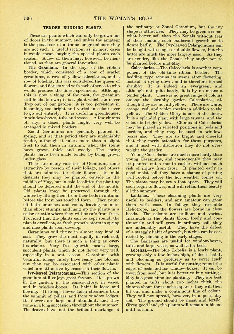 TENDER BUDDING PLANTS These are plants which can only be grown out of doors in the summer, and unless the amateur is the possessor of a frame or greenhouse they are not such a useful section, as in most cases it would mean buying the special plants each season. A few of them may, however, be men- tioned, as they are general favourites. The Geranium.—In the days of the ribbon border, which consisted of a row of scarlet geraniums, a row of yellow calceolarias, and a row of lobelias, this was considered the queen of flowers, and florists vied with each other as to who would produce the finest specimens. Although this is now a thing of the past, the geranium still holds its own ; it is a plant which can never drop out of our garden ; it is too persistent in blooming, too bright and varied in colour ever to go out entirely. It is useful in greenhouses, in window-boxes, tubs and vases. A few clumps of, say, a dozen plants might very well be arranged in mixed borders. Zonal Geraniums are generally planted in spring, and at that period they are undeniably tender, although it takes more than a slight frost to kill them in autumn, when the stems have grown thick and woody. The spring plants have been made tender by being grown under glass. There are many varieties of Geranium, some attractive by reason of their foliage, and others that are admired for their flowers. In mild districts they may be planted outside in the middle of May, but in cold localities the planting should be deferred until the end of the month. Old plants may be preserved through the winter by lifting them from their beds in autumn before the frost has touched them. Then prune off both branches and roots, leaving no more than short stumps, and hang up the plants in a cellar or attic where they will be safe from frost. Provided that the plants can be kept sound, the plan is excellent, as fresh growth starts in spring and nice plants soon develop. Geraniums will thrive in almost any kind of soil. They grow the most rapidly in rich soil, naturally, but there is such a thing as over- luxuriance. Very free growth means large, succulent plants, which do not flower very well, especially in a wet season. Geraniums with beautiful foliage rarely have really fine blooms, but they can be associated with other plants which are attractive by reason of their flowers. Ivy-leaved Pelargoniums.—This section of the geranium still enjoys great favour. It is grown in the garden, in the conservatory, in vases, and in window-boxes. Its habit is loose and flowing. It droops flower-laden streamers from the summit of pillars and from window ledges. Its flowers are large and abundant, and they come in a long succession throughout the summer. The -leaves have not the brilliant markings of the ordinary or Zonal Geranium, but the ivy shape is attractive. They may be given a some- what better soil than the Zonals without fear of their making such exuberant growth as to flower badly. The Ivy-leaved Pelargoniums can be bought with single or double flowers, but the latter are much the more largely used. As they are tender, like the Zonals, they ought not to be planted before mid-May. Calceolarias.—The Calceolaria is another com- ponent of the old-time ribbon border. The bedding type retains its stems after flowering, instead of dying down, and is therefore termed shrubby. It is indeed an evergreen, and although not quite hardy, it is by no means a tender plant. There is no great range of colours among the shrubby garden Calceolarias, al- though they are not all yellow. There are white, orange, red, and violet species in addition to the yellow. The Golden Glory is one of the finest. It is a splendid plant with large trusses, and the colour is bright yellow. Clumps of Calceolarias may be placed in selected positions in beds and borders, and they may be used in window- boxes also. They are so bright and cheerful that they merit attention for these purposes, and if used with discretion they do not over- weight the garden. Young Calceolarias are much more hardy than young Geraniums, and consequently they may be planted out a month earlier, without much risk of injury from frost. If planted early in good moist soil they have a chance of getting well rooted before the hot weather comes on. The plants may be set a foot apart. They will soon begin to flower, and will retain their beauty all the summer. Lantanas.—These charming plants are very useful to bedders, and any amateur can grow them with ease. In foliage they resemble Heliotrope, and the flowers are borne in close heads. The colours are brilliant and varied. Inasmuch as the plants bloom freely and con- tinuously and will grow in ordinary soil, they are undeniably useful. They have the defect of a straggly habit of growth, but this can be cor- rected by pinching in the early stages. The Lantanas are useful for window-boxes, tubs, and large vases, as well as for beds. Lobelias.—The blue Lobelia is a lowly plant, growing only a few inches high, of dense habit, and blooming so profusely as to cover itself with flowers. It is useful for putting round the edges of beds and for window-boxes. It can be sown from seed, but it is better to buy cuttings. May is a good time for planting. They are best planted in tufts about two inches thick, the clumps about three inches apart ; they will then fill out and make a continuous line of colour. They will not spread, however, in a poor, dry soil. The ground should be moist and fertile. Given good land, the plants will remain in bloom until autumn.