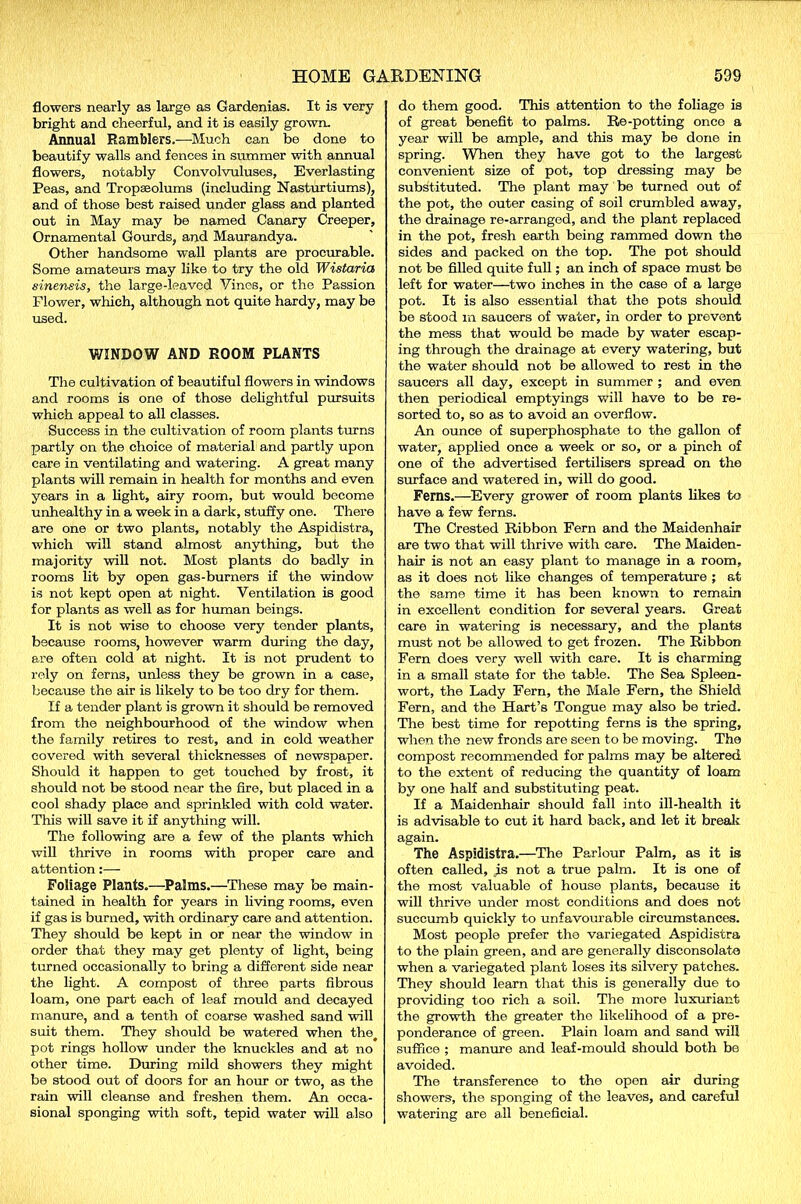 flowers nearly as large as Gardenias. It is very bright and cheerful, and it is easily grown. Annual Ramblers.—Much can be done to beautify walls and fences in summer with annual flowers, notably Convolvuluses, Everlasting Peas, and Tropseolums (including Nasturtiums), and of those best raised under glass and planted out in May may be named Canary Creeper, Ornamental Gourds, and Maurandya. Other handsome wall plants are procurable. Some amateurs may like to try the old Wistaria sinensis, the large-leaved Vines, or the Passion Flower, which, although not quite hardy, may be used. WINDOW AND ROOM PLANTS The cultivation of beautiful flowers in windows and rooms is one of those delightful pursuits which appeal to all classes. Success in the cultivation of room plants turns partly on the choice of material and partly upon care in ventilating and watering. A great many plants will remain in health for months and even years in a light, airy room, but would become unhealthy in a week in a dark, stuffy one. There are one or two plants, notably the Aspidistra, which will stand almost anything, but the majority will not. Most plants do badly in rooms lit by open gas-burners if the window is not kept open at night. Ventilation is good for plants as well as for human beings. It is not wise to choose very tender plants, because rooms, however warm during the day, are often cold at night. It is not prudent to roly on ferns, unless they be grown in a case, because the air is likely to be too dry for them. If a tender plant is grown it should be removed from the neighbourhood of the window when the family retires to rest, and in cold weather covered with several thicknesses of newspaper. Should it happen to get touched by frost, it should not be stood near the fire, but placed in a cool shady place and sprinkled with cold water. This will save it if anything will. The following are a few of the plants which will thrive in rooms with proper care and attention:— Foliage Plants,—Palms.—These may be main- tained in health for years in living rooms, even if gas is burned, with ordinary care and attention. They should be kept in or near the window in order that they may get plenty of light, being turned occasionally to bring a different side near the light. A compost of three parts fibrous loam, one part each of leaf mould and decayed manure, and a tenth of coarse washed sand will suit them. They should be watered when the# pot rings hollow under the knuckles and at no other time. During mild showers they might be stood out of doors for an hour or two, as the rain will cleanse and freshen them. An occa- sional sponging with soft, tepid water will also do them good. This attention to the foliage is of great benefit to palms. Re-potting once a year will be ample, and this may be done in spring. When they have got to the largest convenient size of pot, top dressing may be substituted. The plant may be turned out of the pot, the outer casing of soil crumbled away, the drainage re-arranged, and the plant replaced in the pot, fresh earth being rammed down the sides and packed on the top. The pot should not be filled quite full; an inch of space must be left for water—two inches in the case of a large pot. It is also essential that the pots should be stood in saucers of water, in order to prevent the mess that would be made by water escap- ing through the drainage at every watering, but the water should not be allowed to rest in the saucers all day, except in summer ; and even then periodical emptyings will have to be re- sorted to, so as to avoid an overflow. An ounce of superphosphate to the gallon of water, applied once a week or so, or a pinch of one of the advertised fertilisers spread on the surface and watered in, will do good. Ferns,—Every grower of room plants likes to have a few ferns. The Crested Ribbon Fern and the Maidenhair are two that will thrive with care. The Maiden- hair is not an easy plant to manage in a room, as it does not like changes of temperature ; at the same time it has been known to remain in excellent condition for several years. Great care in watering is necessary, and the plants must not be allowed to get frozen. The Ribbon Fern does very well with care. It is charming in a small state for the table. The Sea Spleen- wort, the Lady Fern, the Male Fern, the Shield Fern, and the Hart’s Tongue may also be tried. The best time for repotting ferns is the spring, when the new fronds are seen to be moving. The compost recommended for palms may be altered to the extent of reducing the quantity of loam by one half and substituting peat. If a Maidenhair should fall into ill-health it is advisable to cut it hard back, and let it break again. The Aspidistra.—The Parlour Palm, as it is often called, Is not a true palm. It is one of the most valuable of house plants, because it will thrive under most conditions and does not succumb quickly to unfavourable circumstances. Most people prefer the variegated Aspidistra to the plain green, and are generally disconsolate when a variegated plant loses its silvery patches. They should learn that this is generally due to providing too rich a soil. The more luxuriant the growth the greater the likelihood of a pre- ponderance of green. Plain loam and sand will suffice ; manure and leaf-mould should both be avoided. The transference to the open air during showers, the sponging of the leaves, and careful watering are all beneficial.