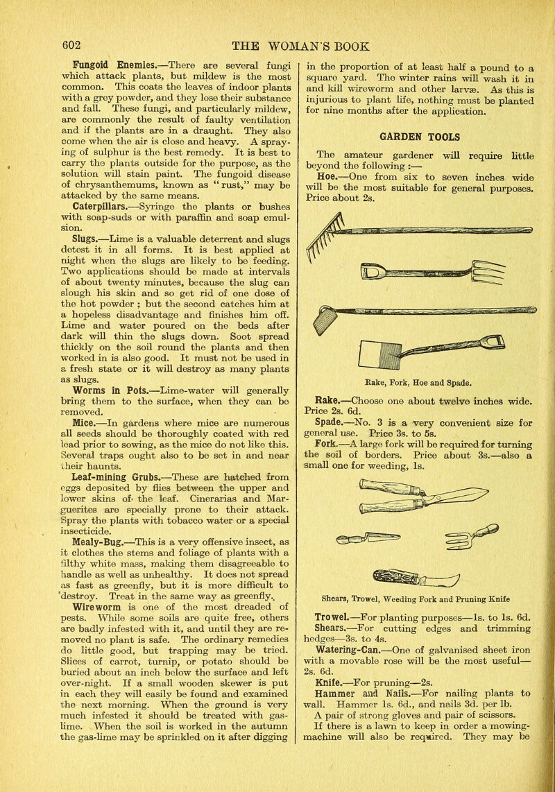 Fungoid Enemies.—There are several fungi which attack plants, but mildew is the most common. This coats the leaves of indoor plants with a grey powder, and they lose their substance and fall. These fungi, and particularly mildew, are commonly the result of faulty ventilation and if the plants are in a draught. They also come when the air is close and heavy. A spray- ing of sulphur is the best remedy. It is best to carry the plants outside for the purpose, as the solution will stain paint. The fungoid disease of chrysanthemums, known as “ rust,” may bo attacked by the same means. Caterpillars.—Syringe the plants or bushes with soap-suds or with paraffin and soap emul- sion. Slugs.—Lime is a valuable deterrent and slugs detest it in all forms. It is best applied at night when the slugs are likely to be feeding. Two applications should be made at intervals of about twenty minutes, because the slug can slough his skin and so get rid of one dose of the hot powder ; but the second catches him at a hopeless disadvantage and finishes him off. Lime and water poured on the beds after dark will thin the slugs down. Soot spread thickly on the soil round the plants and then worked in is also good. It must not be used in a fresh state or it will destroy as many plants as slugs. Worms in Pots.—Lime-water will generally bring them to the surface, when they can be removed. Mice.—In gardens where mice are numerous all seeds should be thoroughly coated with red lead prior to sowing, as the mice do not like this. Several traps ought also to be set in and near their haunts. Leaf-mining Grubs.—These are hatched from eggs deposited by flies between the upper and lower skins of- the leaf. Cinerarias and Mar- guerites are specially prone to their attack. Spray the plants with tobacco water or a special insecticide. Mealy-Bug.—This is a very offensive insect, as it clothes the stems and foliage of plants with a filthy white mass, making them disagreeable to handle as well as unhealthy. It does not spread as fast as greenfly, but it is more difficult to 'destroy. Treat in the same way as greenfly.. Wire worm is one of the most dreaded of pests. While some soils are quite free, others are badly infested with it, and until they are re- moved no plant is safe. The ordinary remedies do little good, but trapping may be tried. Slices of carrot, turnip, or potato should be buried about an inch below the surface and left over-night. If a small wooden skewer is put in each they will easily be found and examined the next morning. When the ground is very much infested it should be treated with gas- lime. When the soil is worked in the autumn the gas-lime may be sprinkled on it after digging in the proportion of at least hah a pound to a square yard. The winter rains will wash it in and kill wireworm and other larvae. As this is injurious to plant life, nothing must be planted for nine months after the application. GARDEN TOOLS The amateur gardener will require little beyond the following :— Hoe.—One from six to seven inches wide will be the most suitable for general purposes. Price about 2s. Rake, Fork, Hoe and Spade. Rake.—Choose one about twelve inches wide. Price 2s. 6d. Spade.—No. 3 is a very convenient size for general use. Price 3s. to 5s. Fork.—A large fork will be required for turning the soil of borders. Price about 3s.—also a small one for weeding, Is. Shears, Trowel, Weeding Fork and Pruning Knife Trowel.—For planting purposes—Is. to Is. 6d. Shears.—For cutting edges and trimming hedges—3s. to 4s. Watering-Can.—One of galvanised sheet iron with a movable rose will be the most useful— 2s. 6d. Knife.—For pruning—2s. Hammer and Nails.—For nailing plants to wall. Hammer Is. 6d., and nails 3d. per lb. A pair of strong gloves and pair of scissors. If there is a lawn to keep in order a mowing- machine will also be required. They may be