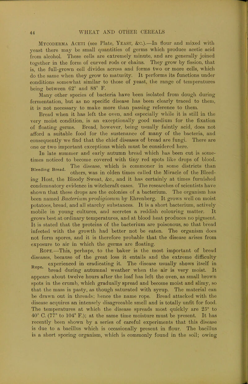 Mycoderma Aceti (see Plate, Yeast, &c.).—In Hour and mixed with yeast there may be small quantities of germs which produce acetic acid from alcohol. These cells are extremely minute, and are generally joined together in the form of curved rods or chains. They grow by fission, that is, the full-grown cell divides across and forms two or more cells, which do the same when they grow to maturity. It performs its functions under conditions somewhat similar to those of yeast, the range of temperatures being between 62° and 88° F. Many other species of bacteria have been isolated from dough during fermentation, but as no specific disease has been clearly traced to them, it is not necessary to make more than passing reference to them. Bread when it has left the oven, and especially while it is still in the very moist condition, is an exceptionally good medium for the fixation of floating germs. Bread, however, being usually faintly acid, does not afford a suitable food for the sustenance of many of the bacteria, and consequently we find that the chief diseases of bread are fungi. There are one or two important exceptions which must be considered here. In late summer and early autumn bread which has been cut is some- times noticed to become covered with tiny red spots like drops of blood. The disease, which is commoner in some districts than Bleeding Bread, was times called the Miracle of the Bleed- ing Host, the Bloody Sweat, &c., and it has certainly at times furnished condemnatory evidence in witchcraft cases. The researches of scientists have shown that these drops are the colonies of a bacterium. The organism has been named Bacterium prodigiosuvi by Ehrenberg. It grows well on moist potatoes, bread, and all starchy substances. It is a short bacterium, actively mobile in young cultures, and secretes a reddish colouring matter. It grows best at ordinary temperatures, and at blood heat produces no pigment. It is stated that the proteins of the bacterium are poisonous, so that bread infected with the growth had better not be eaten. The organism does not form spores, and it is therefore probable that the disease arises from exposure to air in which the germs are floating. Rope.—This, perhaps, to the baker is the most important of bread diseases, because of the great loss it entails and the extreme difficulty experienced in eradicating it. The disease usually shows itself in R°pe' bread during autumnal weather when the air is very moist. It appears about twelve hours after the loaf has left the oven, as small brown spots in the crumb, which gradually spread and become moist and slimy, so that the mass is pasty, as though saturated with syrup. The material can be drawn out in threads; hence the name rope. Bread attacked with the disease acquires an intensely disagreeable smell and is totalty unfit for food. The temperatures at which the disease spreads most quickly are 25° to 40° C. (77° to 104° F.); at the same time moisture must be present. It has recently been shown by a series of careful experiments that this disease is due to a bacillus which is occasionally present in flour. The bacillus is a short sporing organism, which is commonly found in the soil; owing
