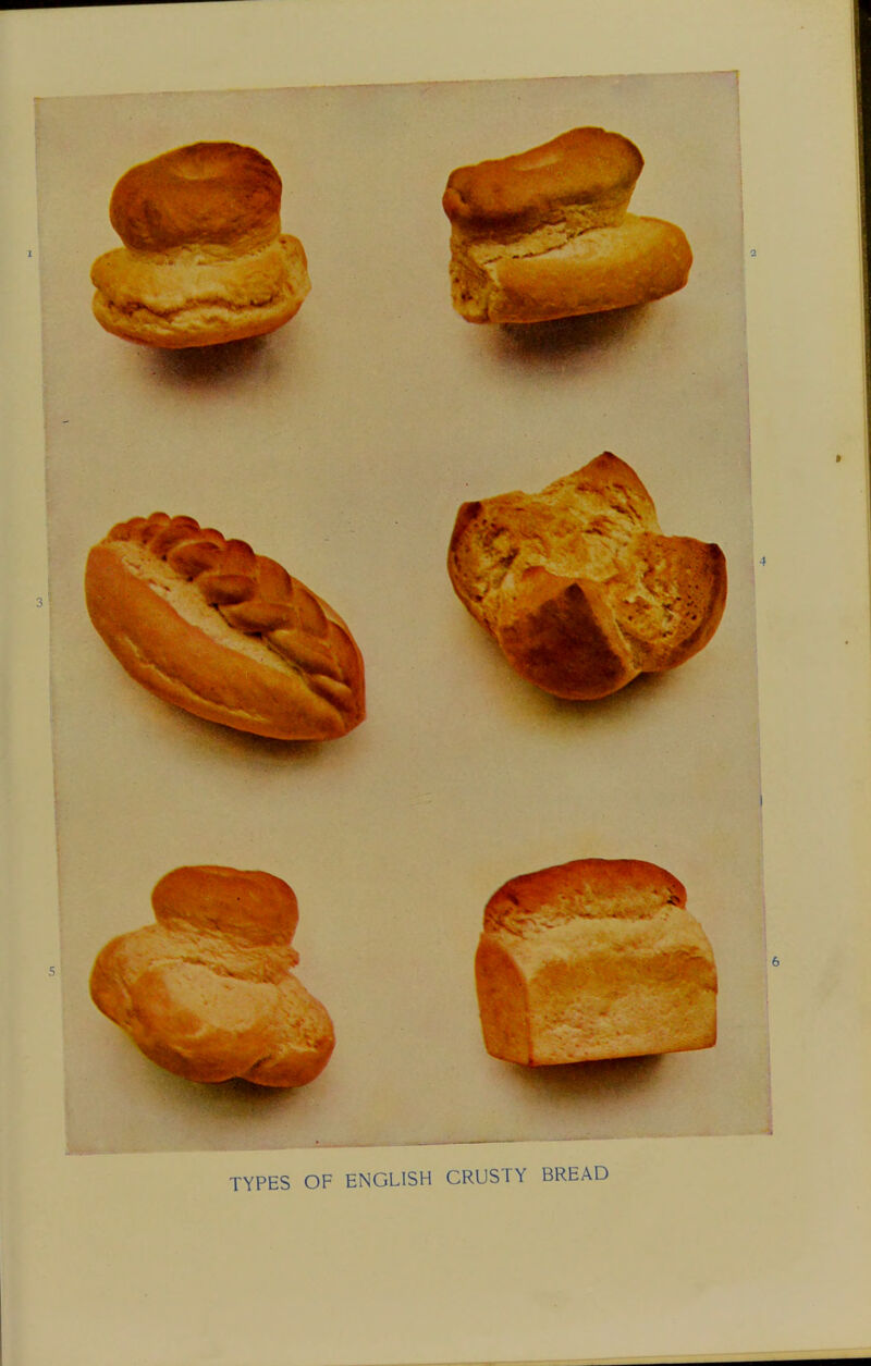 TYPES OF ENGLISH CRUSTY BREAD