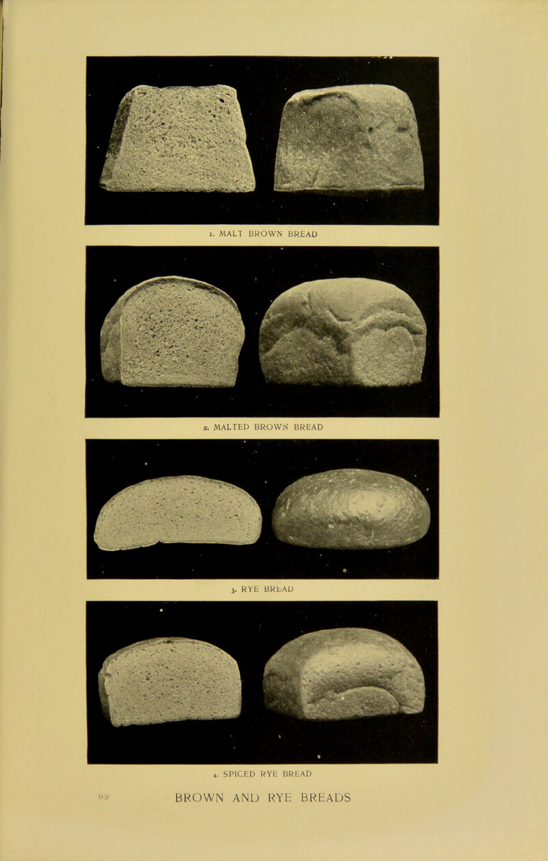 i. MALT BROWN BREAD 2. MALTED BROWN BREAD 4. SPICED RYE BREAD l‘j) BROWN AND RYH BRBADS