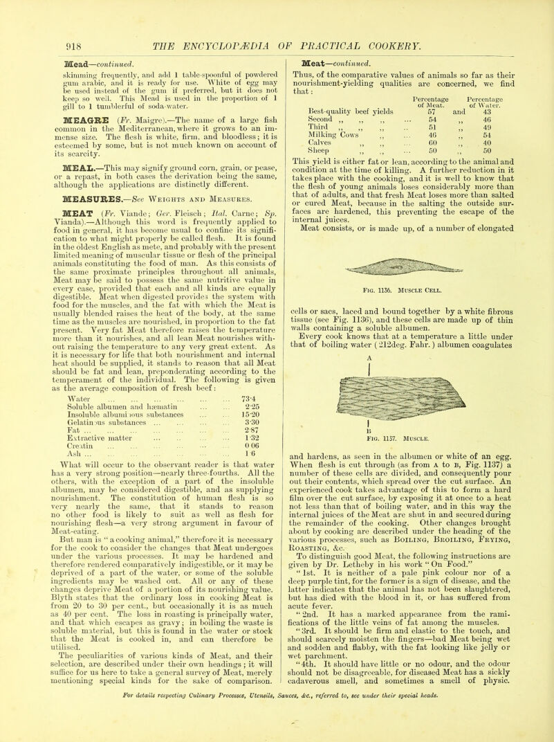Mead—continued. skimming frequently, and add 1 table-spoonful of powdered gum arabic, and it is ready for use. White of egg may be used instead of the gum if preferred, but it does not keep so well. This Mead is used in the proportion of 1 gill to 1 tumblerful of soda-water. ME AGUE (Fr. Maigre).—The name of a large fish common in the Mediterranean, where it grows to an im- mense size. The flesh is white, firm, and bloodless; it is esteemed by some, but is not much known on account of its scarcity. MEAL.—This may signify ground corn, grain, or pease, or a repast, in both cases the derivation being the same, although the applications are distinctly different. MEASURES.—See Weights and Measures. MEAT (Fr. Yiande; Ger. Fleisch ; Ital. Carne; Sjo. Yianda).—Although this word is frequently applied to food in general, it has become usual to confine its signifi- cation to what might properly be called flesh. It is found in the oldest English as mete, and probably with the present limited meaning of muscular tissue or flesh of the principal animals constituting the food of man. As this consists of the same proximate principles throughout all animals, Meat may be said to possess the same nutritive value in every case, provided that each and all kinds are equally digestible. Meat when digested provides the system with food for the muscles, and the fat with which the Meat is usually blended raises the heat of the body, at the same time as the muscles are nourished, in proportion to the fat present. Yery fat Meat therefore raises the temperature more than it nourishes, and all lean Meat nourishes with- out raising the temperature to any very great extent. As it is necessary for life that both nourishment and internal heat should be supplied, it stands to reason that all Meat should be fat and lean, preponderating according to the temperament of the individual. The following is given as the average composition of fresh beef: Water ... ... ... ... ... ... 73'4 Soluble albumen and hsematin ... . 2“25 Insoluble albuminous substances ... . 15'20 Gelatinous substances ... . . ... . 3'30 Fat ... 2-87 Extractive matter ... ■ ■■ 132 Creatin ... ... . . 0 06 Ash 16 What will occur to the observant reader is that water has a very strong position—nearly three-fourths. All the others, with the exception of a part of the insoluble albumen, may be considered digestible, and as supplying nourishment. The constitution of human flesh is so very nearly the same, that it stands to reason no other food is likely to suit as well as flesh for nourishing flesh—a very strong argument in favour of Meat-eating. But man is “ a cooking animal,” therefore it is necessary for the cook to consider the changes that Meat undergoes under the various processes. It may be hardened and therefore rendered comparatively indigestible, or it may be deprived of a part of the water, or some of the soluble ingredients may be washed out. All or any of these changes deprive Meat of a portion of its nourishing value. Blyth states that the ordinary loss in cooking Meat is from 20 to 30 per cent., but occasionally it is as much as 40 per cent. The loss in roasting is principally water, and that which escapes as gravy; in boiling the waste is soluble material, but this is found in the water or stock that the Meat is cooked in, and can therefore be utilised. The peculiarities of various kinds of Meat, and their selection, are described under their own headings ; it will suffice for us here to take a general survey of Meat, merely mentioning special kinds for the sake of comparison. Meat—continued. Thus, of the comparative values of animals so far as their nourishment-yielding qualities are concerned, we find that: Best-quality beef yields Percentage of Meat. 57 Percentage of Water, and 43 Second ,, ,, ., 54 „ 46 Third „ 51 „ 49 Milking Cows ,, 46 „ 54 Calves ,, 60 40 Sheep 50 50 This yield is either fat or lean, according to the animal and condition at the time of killing. A further reduction in it takes place with the cooking, and it is well to know that the flesh of young animals loses considerably more than that of adults, and that fresh Meat loses more than salted or cured Meat, because in the salting the outside sur- faces are hardened, this preventing the escape of the internal juices. Meat consists, or is made up, of a number of elongated Fig. 1136. Muscle Cell. cells or sacs, laced and bound together by a white fibrous tissue (see Fig. 1136), and these cells are made up of thin walls containing a soluble albumen. Every cook knows that at a temperature a little under that of boiling water (212deg. Fahr.) albumen coagulates A Fig. 1137. Muscle. and hardens, as seen in the albumen or white of an egg. When flesh is cut through (as from A to B, Fig. 1137) a number of these cells are divided, and consequently pour out their contents, which spread over the cut surface. An experienced cook takes advantage of this to form a hard film over the cut surface, by exposing it at once to a heat not less than that of boiling water, and in this way the internal juices of the Meat are shut in and secured during the remainder of the cooking. Other changes brought about by cooking are described under the heading of the various processes, such as Boiling, Broiling, Frying, Roasting, &c. To distinguish good Meat, the following instructions are given by Dr. Letheby in his work “ On Food.” “ 1st. It is neither of a pale pink colour nor of a deep purple tint, for the former is a sign of disease, and the latter indicates that the animal has not been slaughtered, but has died with the blood in it, or has suffered from acute fever. “ 2nd. It has a marked appearance from the rami- fications of the little veins of fat among the muscles. “ 3rd. It should be firm and elastic to the touch, and should scarcely moisten the fingers—bad Meat being wet and sodden and flabby, with the fat looking like jelly or wet parchment. “ 4th. It should have little or no odour, and the odour should not be disagreeable, for diseased Meat has a sickly cadaverous smell, and sometimes a smell of physic.