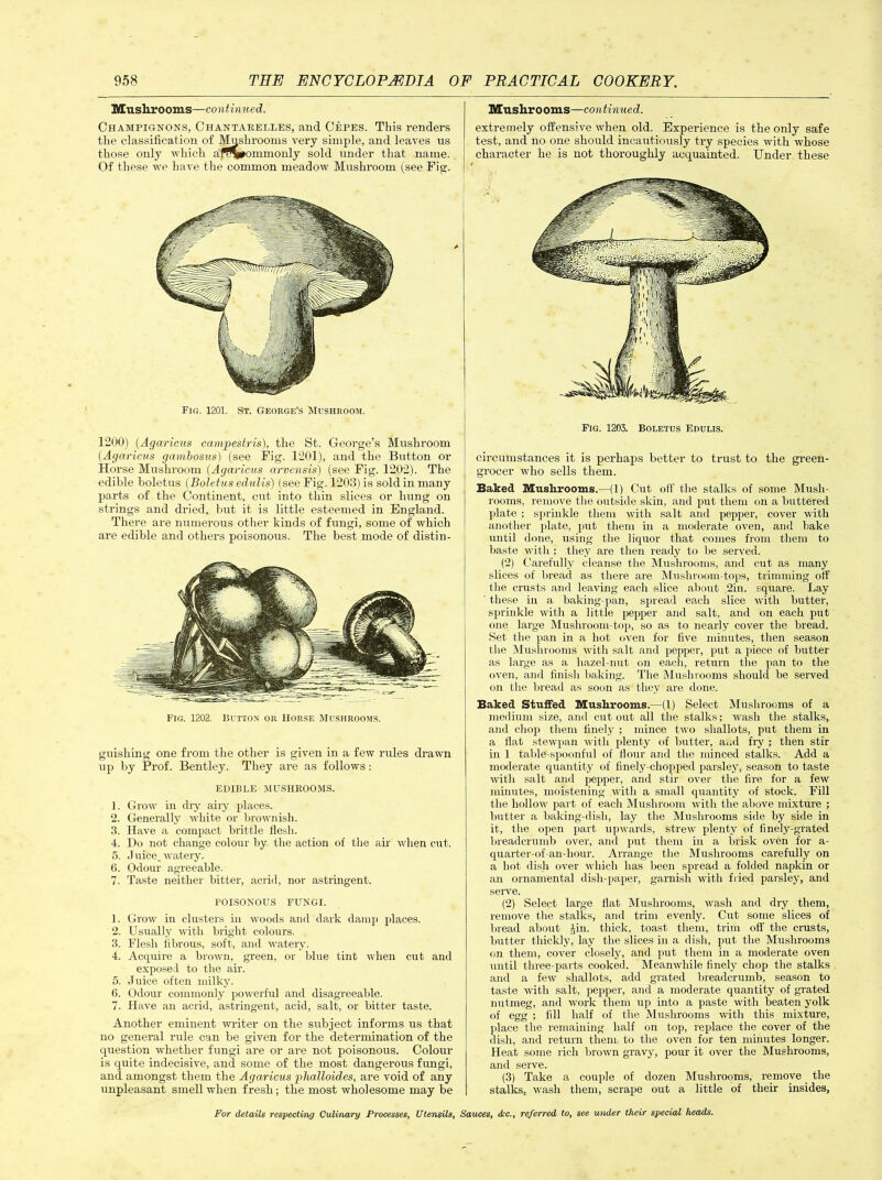 Mushrooms—continued. Champignons, Chantarelles, and Cepes. This renders the classification of Mushrooms very simple, and leaves us those only which aff%»ommonly sold under that name. Of these we have the common meadow Mushroom (see Fig. | Fig. 1201. St. George’s Mushroom. 1200) (Agaricus campestris), the St. George’s Mushroom (.Agaricus gambosus) (see Fig. 1201), and the Button or Horse Mushroom (Agaricus arvensis) (see Fig. 1202). The edible boletus (Boletus edulis) (see Fig. 1203) is sold in many parts of the Continent, cut into thin slices or hung on strings and dried, but it is little esteemed in England. There are numerous other kinds of fungi, some of which are edible and others poisonous. The best mode of distin- Fig. 1202. Button or Horse Mushrooms. guishing one from the other is given in a few rules drawn up by Prof. Bentley. They are as follows: edible mushrooms. 1. Grow hi diy airy places. 2. Generally white or brownish. 3. Have a compact brittle flesh. 4. Do not change colour by the action of the ah when cut. 5. Juice, watery. 6. Odour agreeable. 7. Taste neither bitter, acrid, nor astringent. POISONOUS FUNGI. 1. Grow in clusters hi woods and dark damp places. 2. Usually with bright colours. 3. Flesh fibrous, soft, and watery. 4. Acquire a brown, green, or blue tint when cut and exposed to the air. 5. Juice often milky. 6. Odour commonly powerful and disagreeable. 7. Have an acrid, astringent, acid, salt, or bitter taste. Another eminent writer on the subject informs us that no general rule can be given for the determination of the question whether fungi are or are not poisonous. Colour is quite indecisive, and some of the most dangerous fungi, and amongst them the Agaricus phalloides, are void of any unpleasant smell when fresh; the most wholesome may be Mushrooms—continued. extremely offensive when old. Experience is the only safe test, and no one should incautiously try species with whose character he is not thoroughly acquainted. Under these Fig. 1203. Boletus Edulis. circumstances it is perhaps better to trust to the green- grocer who sells them. Baked Mushrooms.—(1) Cut off the stalks of some Mush- rooms, remove the outside skin, and put them on a buttered plate ; sprinkle them with salt and pepper, cover with another plate, put them in a moderate oven, and bake until done, using the liquor that comes from them to baste with : they are then ready to be served. (2) Carefully cleanse the Mushrooms, and cut as many slices of bread as there are Mushroom-tops, trimming off the crusts and leaving each slice about 2in. square. Lay ' these in a baking-pan, spread each slice with butter, sprinkle with a little pepper and salt, and on each put one large Muslnoom-top, so as to nearly cover the bread. Set the pan in a hot oven for five minutes, then season the Mushrooms with salt and pepper, put a piece of butter as large as a hazel-nut on each, return the pan to the oven, and finish baking. The Mushrooms should be served on the bread as soon as they are done. Baked Stuffed Mushrooms.—(1) Select Mushrooms of a medium size, and cutout all the stalks; wash the stalks, and chop them finely ; mince two shallots, put them in a flat stewpan with plenty of butter, and fry ; then stir in 1 table-spoonful of flour and the minced stalks. Add a moderate quantity of finely-chopped parsley, season to taste with salt and pepper, and stir over the fire for a few minutes, moistening with a small quantity of stock. Fill the hollow part of each Mushroom with the above mixture ; butter a baking-disli, lay the Mushrooms side by side in it, the open part upwards, strew plenty of finely-grated breadcrumb over, and put them in a brisk oven for a- quarter-of an-hour. Arrange the Mushrooms carefully on a hot dish over which has been spread a folded napkin or an ornamental dish-paper, garnish with fried parsley, and serve. (2) Select large flat Mushrooms, wash and dry them, remove the stalks, and trim evenly. Cut some slices of bread about Jin. thick, toast them, trim off the crusts, butter thickly, lay the slices in a dish, put the Mushrooms on them, cover closely, and put them in a moderate oven until three-parts cooked. Meanwhile finely chop the stalks and a few shallots, add grated breadcrumb, season to taste with salt, pepper, and a moderate quantity of grated nutmeg, and work them up into a paste with beaten yolk of egg ; fill half of the Mushrooms with this mixture, place the remaining half on top, replace the cover of the dish, and return them, to the oven for ten minutes longer. Heat some rich brown gravy, pour it over the Mushrooms, and serve. (3) Take a couple of dozen Mushrooms, remove the stalks, wash them, scrape out a little of their insides,