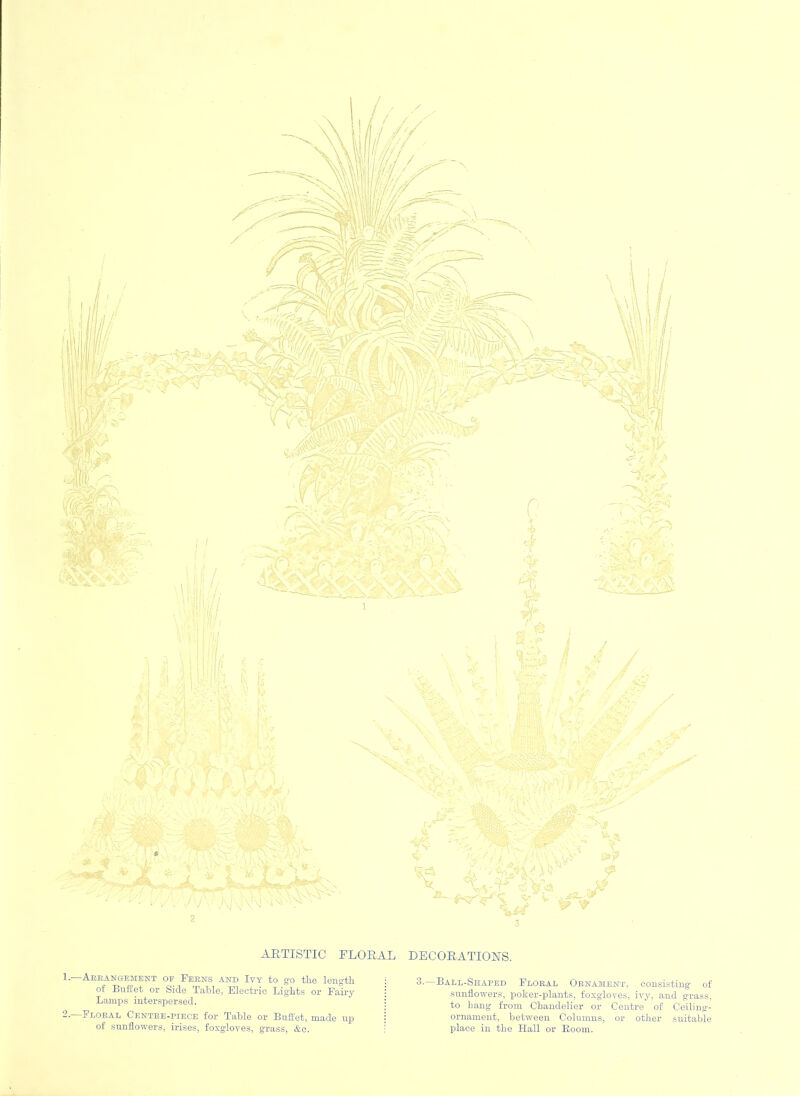 ARTISTIC FLORAL DECORATIONS. •—Arrangement oe Ferns and Ivy to go the length of Buffet or Side Table, Electric Lights or Fairy Lamps interspersed. .—Floral Centre-piece for Table or Buffet, made up of sunflowers, irises, foxgloves, grass, &c. 3. Ball-Shaped Floral Ornament, consisting of sunflowers, poker-plants, foxgloves, ivy, and grass, to hang from Chandelier or Centre of Ceiling- ornament, between Columns, or other suitable place in the Hall or Boom.