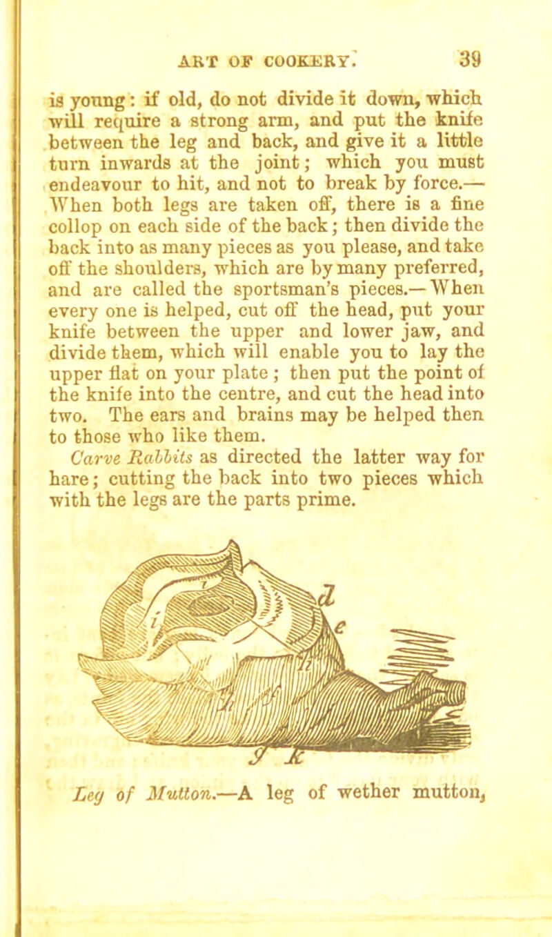 ia young: if old, do not divide it down, which will require a strong arm, and put the knife between the leg and back, and give it a little turn inwards at the joint; which you must endeavour to hit, and not to break by force.— When both legs are taken off, there is a fine collop on each side of the back; then divide the back into as many pieces as you please, and take off the shoulders, which are by many preferred, and are called the sportsman’s pieces.—When every one is helped, cut off the head, put your knife between the upper and lower jaw, and divide them, which will enable you to lay the upper flat on your plate; then put the point of the knife into the centre, and cut the head into two. The ears and brains may be helped then to those who like them. Carve Rabbits as directed the latter way for hare; cutting the back into two pieces which with the legs are the parts prime. Ley of Mutton.—A leg of wether mutton,