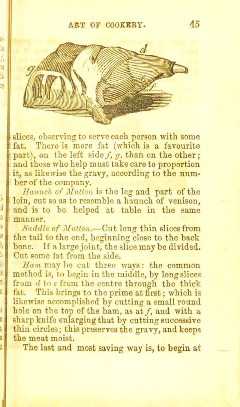 slices, observing to serve each person with some fat. There is more fat (which is a favourite part), on the left side/, g, than on the other; and those who help must take care to proportion it, as likewise the gravy, according to the num- ber of the company. Haunch of Mutton is the leg and part of the loin, cut so as to resemble a haunch of venison, and is to be helped at table in the same manner. Saddle of Mutton.—Cut long thin slices from the tail to the end, beginning close to the back bone. If a large joint, the slice may be divided. Cut some fat from the side. Ham. may be cut three ways: the common method is, to begin in the middle, by long slices from d to e from the centre through the thick fat. This brings to the prime at first; which is likewise accomplished by cutting a small round hole on the top of the ham, as at/, and with a sharp knife enlarging that by cutting successive thin circles; this preserves the gravy, and keeps the meat moist. The last and most saving way is, to begin at I