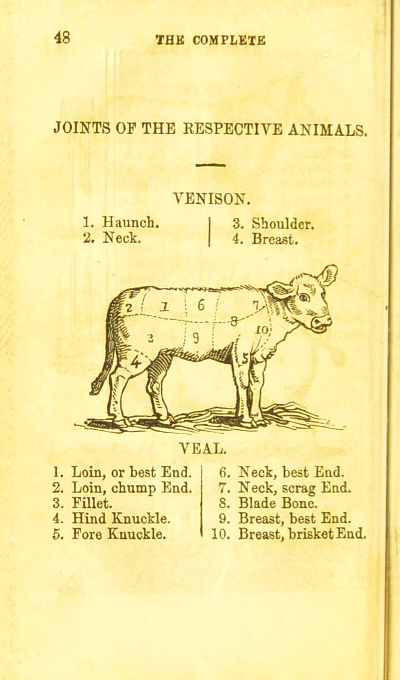 JOINTS OF THE RESPECTIVE ANIMALS. VENISON. 1. Haunch. I 3. Shoulder. 2. Neck. | 4. Breast. VEAL. 1. Loin, or best End. 2. Loin, chump End. 3. Fillet. 4. Hind Knuckle. 5. Fore Knuckle. 6. Neck, best End. 7. Neck, scrag End. S. Blade Bone. 9. Breast, best End. 10. Breast, brisket End.