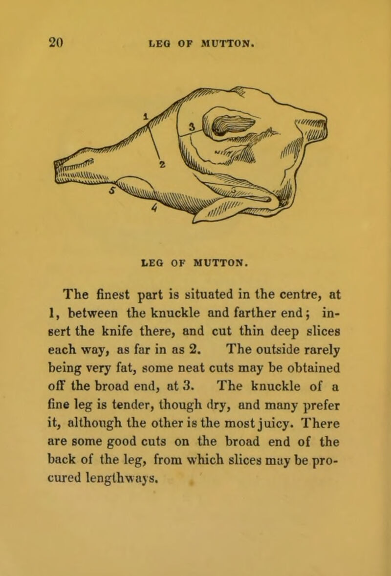 LEG OF MUTTON. The finest part is situated in the centre, at 1, between the knuckle and farther end; in- sert the knife there, and cut thin deep slices each way, as far in as 2. The outside rarely being very fat, some neat cuts may be obtained off the broad end, at 3. The knuckle of a fine leg is tender, though dry, and many prefer it, although the other is the most juicy. There are some good cuts on the broad end of the back of the leg, from which slices may be pro- cured lengthways.