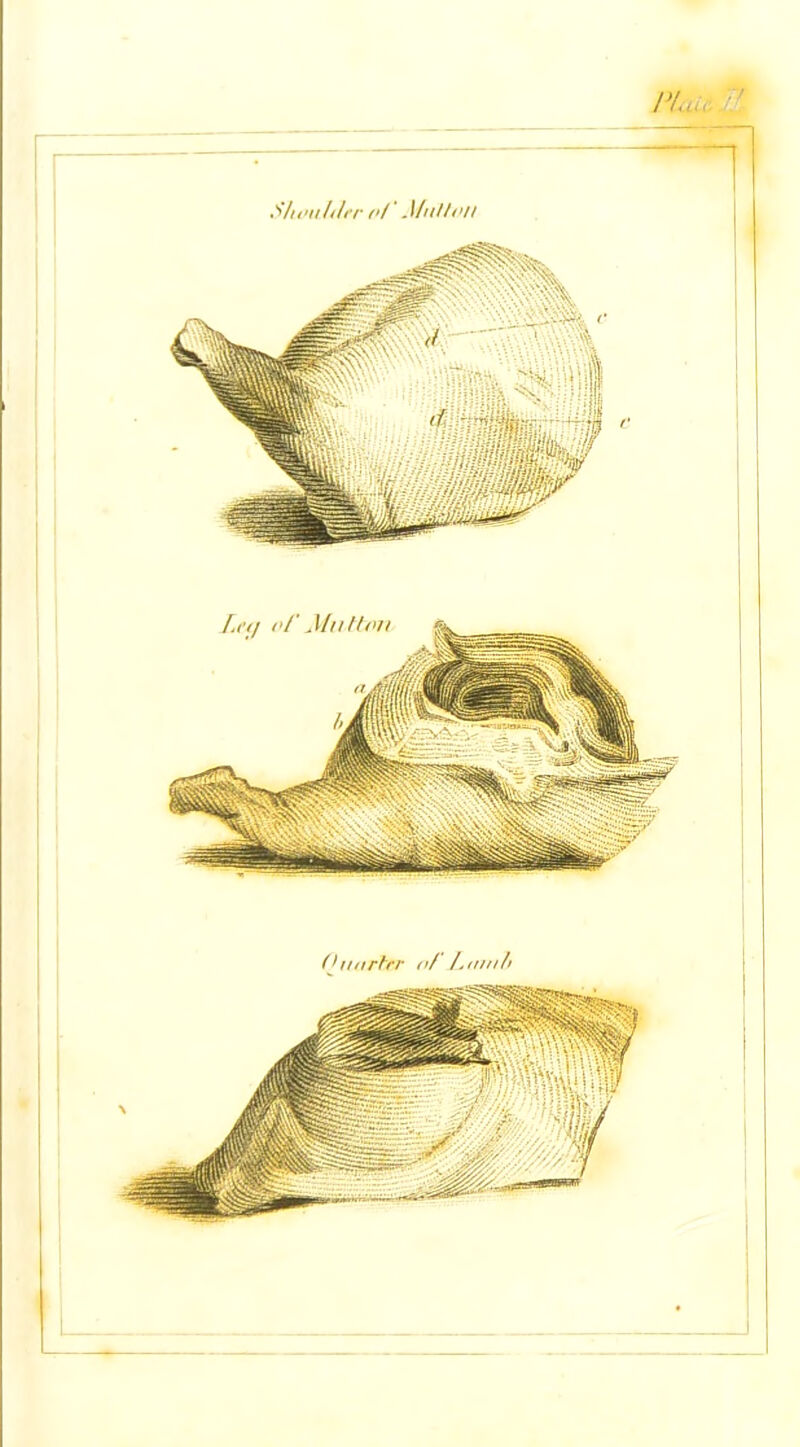 Ot tarter a/ Lamb Shan filer of .Mutton Leij of Mutton