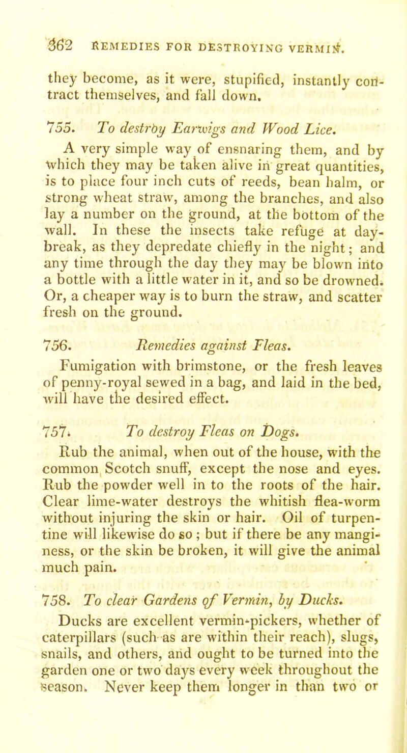 they become, as it were, stupified, instantly cori- tract themselves, and fall down. 755. To destrby Fartvigs and Wood Lice. A very simple way of ensnaring them, and by Which they may be taken alive in great quantities, is to place four inch cuts of reeds, bean halm, or strong wheat straw, among the branches, and also lay a number on the ground, at the bottom of the wall. In these the insects take refuge at day- break, as they depredate chiefly in the night; and any time through the day they may be blown into a bottle with a little water in it, and so be drowned. Or, a cheaper way is to burn the straw, and scatter fresh on the ground. 756. Remedies against Fleas. O Fumigation with brimstone, or the fresh leaves of penny-royal sewed in a bag, and laid in the bed, will have the desired effect. 757. To destroy Fleas on Dogs. Rub the animal, when out of the house, with the common Scotch snuff, except the nose and eyes. Rub the powder well in to the roots of the hair. Clear lime-water destroys the whitish flea-worm without injuring the skin or hair. Oil of turpen- tine will likewise do so ; but if there be any mangi- ness, or the skin be broken, it will give the animal much pain. 758. To clear Gardens of Vermin, by Ducks. Ducks are excellent vermin-pickers, whether of caterpillars (such as are within their reach), slugs, snails, and others, and ought to be turned into the garden one or two days every week throughout the season. Never keep them longer in than two or