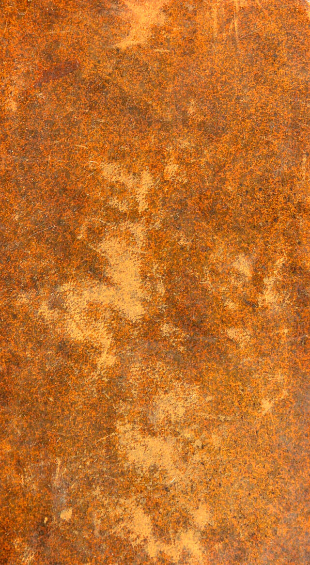 digitised image 1