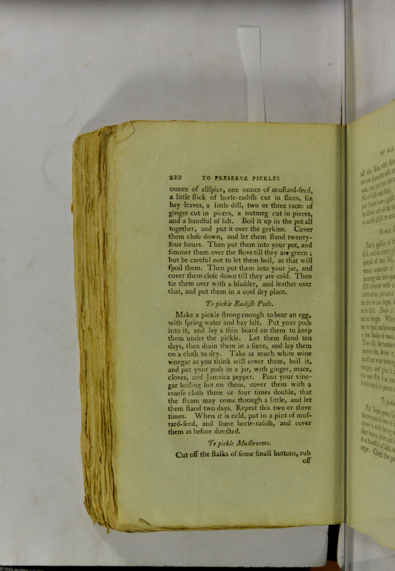 ounce of allfpice, one ounce of muflard-fced, -a little flick of horle-radifh cut in fliccs, fix bay leaves, a little dill, two or three races of ginger cut in pieces, a nutmeg cut in pieces, and a handful of fait. Boil it up in the pot all together, and put it over the gerkins. Cover them clofe down, and let them fland twenty- four hours. Then put them into your pot, and iimmer them over the ftovetill they are green ; but be careful not to let them boil, as that will fpoil them. Then put them into your jar, and cover them dole down till they are cold. Then tie them over with a bladder, and leather over .that, and put them in a cool dry place. pickle Radi/h Pods. Make a pickle ftrong enough to bear an egg, with fpring water and bay fait. Put your pods into it, and lay a thin board on them to keep them under the pickle. Let them ftand ten days, then drain them in a fieve, and lay them on a cloth to dry. Take as much white wine vinegar as you think will cover them, boil it, and put your pods in a jar, with ginger, mace, cloves, and Jamaica pepper. Pour your vine- gar boiling hot on them, cover them with a coarfe cloth three or four times double, that the fleam may come through a little, and let them fland two days. Repeat this two or three limes. When it is cold, put in a pint of muf- tard-feed, and fome horlc-radilh, and cover them as before diredled. To pickle Mufhrooms. Cut off the ftalks of fome fmall buttons, rub off