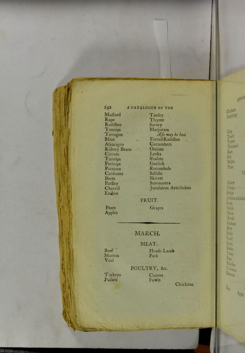 Muftard Rape Radifhes Turnips Tarragon Mint Afparagus Kidney Beans Carrots Turnips Parfnips Potatoes Cardoons Beets Parfley Chervil Endive Pears Apples Tan fey ' Thyme Savory Marjoram Alfa may he had Forced Radifhes Cucumbers Onions Leeks Shalots Garlick Rocombole Sallifie Skirret Scorzonera Jerufalem Artichokes FRUIT. Grapes MARCH. MEAT. Beef Houfe-Lamb Mutton Pork Veal Turkeys Pullets POULTRY, &c. Capons Fowls Chickens