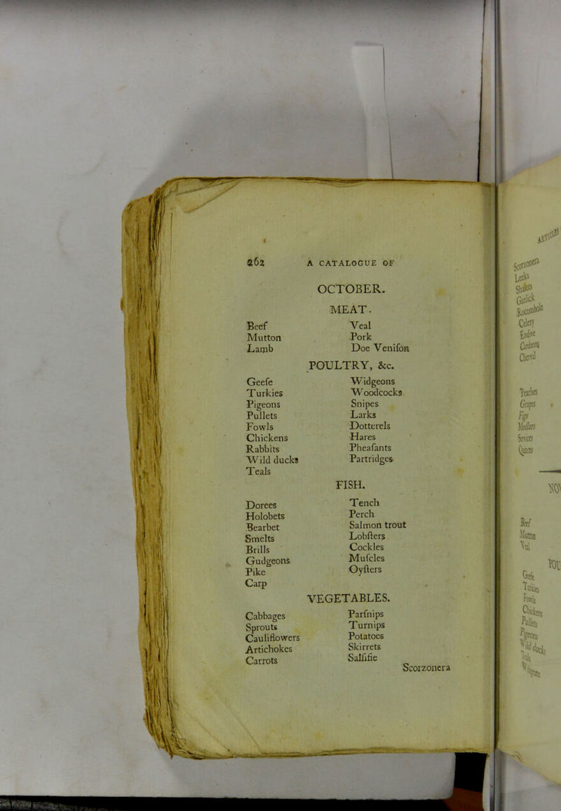 Beef Mutton Lamb Geefe T urkies Pigeons Pullets Fowls Chickens Rabbits Wild ducks Teals Dorees Holobets Bearbet Smelts Brills Gudgeons Pike Carp Cabbages Sprouts Cauliflowers Artichokes Carrots OCTOBER. MEAT. Veal Pork Doe Venifon POULTRY, &c. Widgeons W oodcocks Snipes Larks Dotterels Hares Pheafants Partridges^ FISH. T ench Perch Salmon trout Lobfters Cockles Mufcles Oyfters VEGETABLES. Parfnips Turnips Potatoes Skirrets Salfifie Scorzoncra y 1 ■ ^0^ befits Stale's Garlict Ctleiy bndiffi Teack Gap Fip ServicfJ iMuttcii Ottfe Fowls CFidens Pullcfs n 'i^ns h