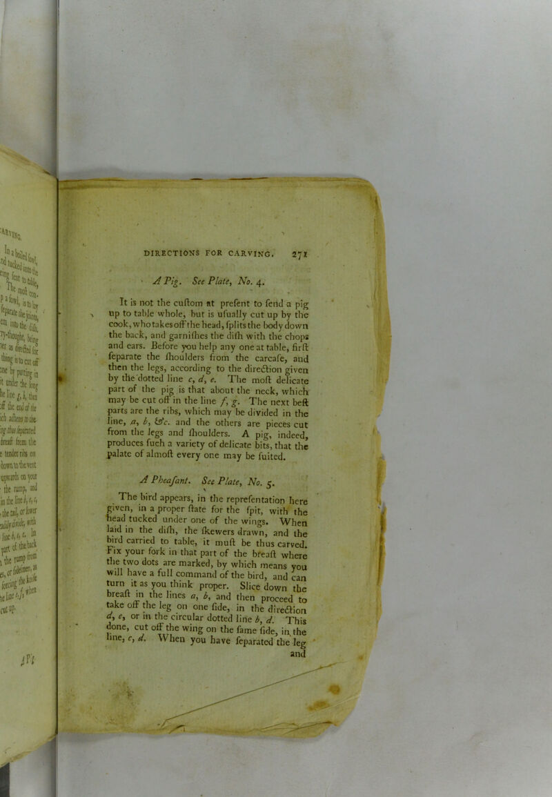 It is not the cuftom at prefent to fend a pig up to table whole, but is ufually cut up by the cook, whotakesofi the head, fplits the body down the back, and garniflies the dilh with the chops and ears. Before you help any one at table, firfi: feparate the ilioulders from the carcafe, and then the legs, according to the diredlion given by the dotted line c, dy e. The moft delicate part of the pig is that about the neck, which' may be cut oflF in the line /, g. The next beft parts are the ribs, which may be di'vided in the line, fly by iAc, and the others are piec&s cut from the legs and flioulders. A pig, indeed, produces fuch a variety of delicate bits, that the palate of almoft every one may be fuited. A Pheafant. See Plate^ No. 5. * The bird appears, in the reprefen ration here given, in a proper hate for the fpit, with the head tucked under one of the wings. When laid in the dilli, the Ikewers drawn, and the grd carried to table, it muft be thus carved Fix your fork in that part of the bfeaft where the two dots are marked, by which means you will have a full command of the bird, and can turn It as you think proper. Slice down the breaft in the lines «, by and then proceed to take off the leg on one fide, in the diredion dy e, or m the circular dotted line b, d This done, cut off the wing on the fame fide, in the line, f, d. When you have feparated the leg and • V