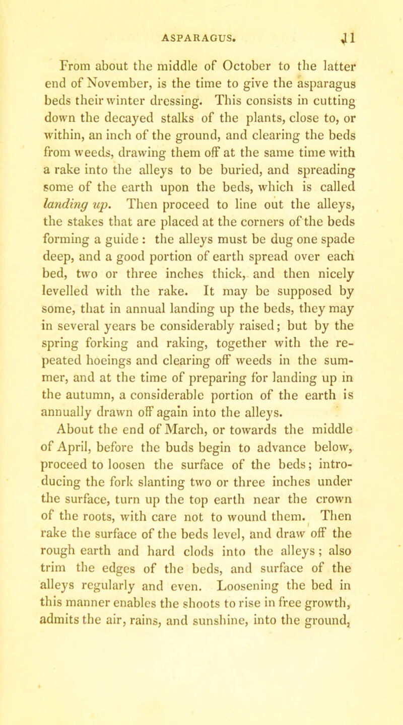 From about the middle of October to the latter end of November, is the time to give the asparagus beds their winter dressing. This consists in cutting down the decayed stalks of the plants, close to, or within, an inch of the ground, and clearing the beds from weeds, drawing them off at the same time with a rake into the alleys to be buried, and spreading some of the earth upon the beds, which is called landing up. Then proceed to line out the alleys, the stakes that are placed at the corners of the beds forming a guide : the alleys must be dug one spade deep, and a good portion of earth spread over each bed, two or three inches thick, and then nicely levelled with the rake. It may be supposed by some, that in annual landing up the beds, they may in several years be considerably raised; but by the spring forking and raking, together with the re- peated hoeings and clearing off weeds in the sum- mer, and at the time of preparing for landing up in the autumn, a considerable portion of the earth is annually drawn olF again into the alleys. About the end of March, or towards the middle of April, before the buds begin to advance below, proceed to loosen the surface of the beds; intro- ducing the fork slanting two or three inches under tlie surface, turn up the top earth near the crown of the roots, with care not to wound them.^ Then rake the surface of the beds level, and draw off the rough earth and hard clods into the alleys; also trim the edges of the beds, and surface of the alleys regularly and even. Loosening the bed in this manner enables the shoots to rise in free growth, admits the air, rains, and sunshine, into the ground,