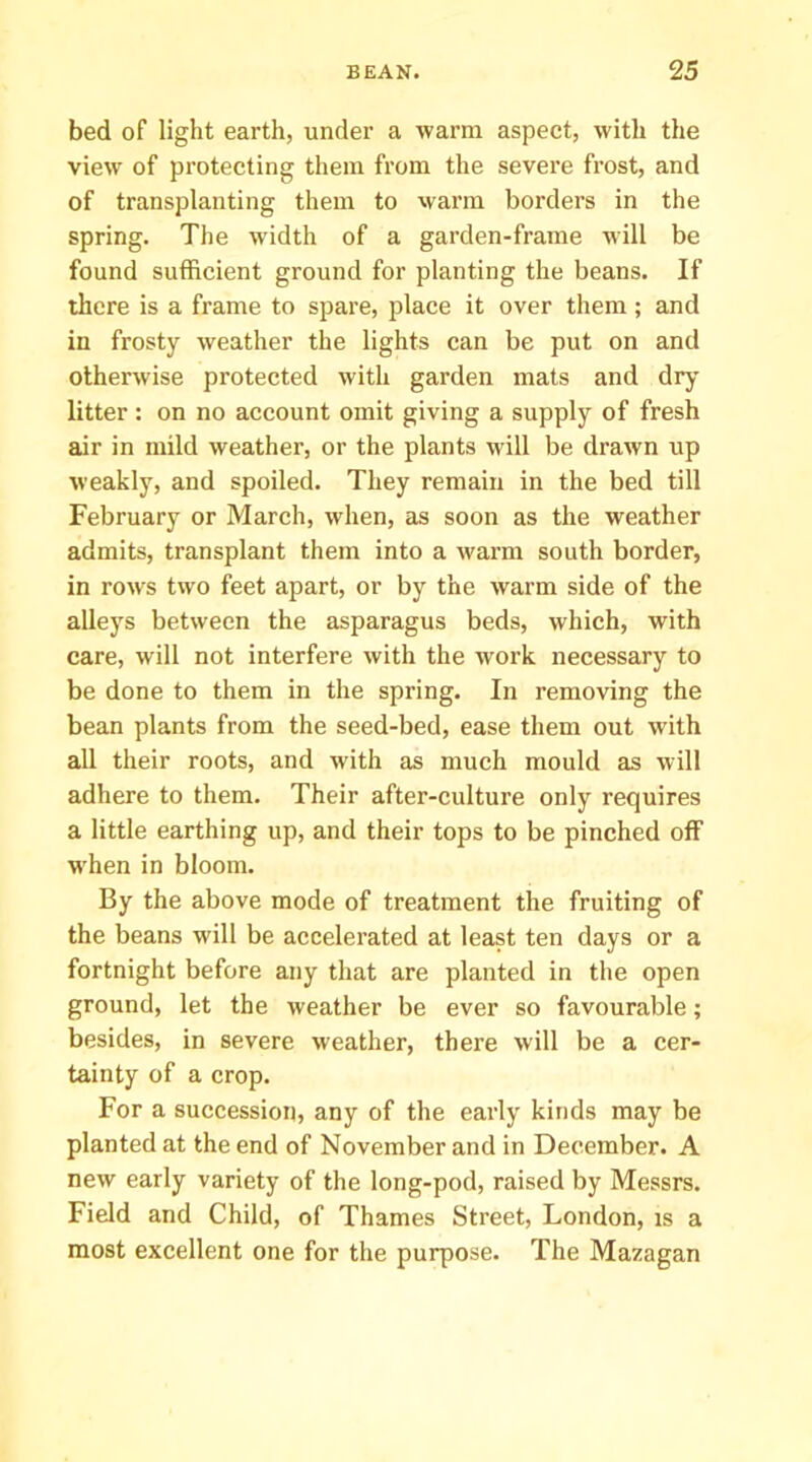 bed of light earth, under a warm aspect, with the view of protecting them from the severe frost, and of transplanting them to warm borders in the spring. The width of a garden-frame will be found sufficient ground for planting the beans. If there is a frame to spare, place it over them; and in frosty weather the lights can be put on and othenvise protected with garden mats and dry litter : on no account omit giving a supply of fresh air in mild weather, or the plants will be drawn up weakly, and spoiled. They remain in the bed till February or March, when, as soon as the weather admits, transplant them into a warm south border, in rows two feet apart, or by the warm side of the alleys between the asparagus beds, which, with care, will not interfere with the work necessary to be done to them in the spring. In removing the bean plants from the seed-bed, ease them out with all their roots, and with as much mould as will adhere to them. Their after-culture only requires a little earthing up, and their tops to be pinched off when in bloom. By the above mode of treatment the fruiting of the beans will be accelerated at least ten days or a fortnight before any that are planted in the open ground, let the weather be ever so favourable; besides, in severe weather, there will be a cer- tainty of a crop. For a succession, any of the early kinds may be planted at the end of November and in December. A new early variety of the long-pod, raised by Messrs. Field and Child, of Thames Street, London, is a most excellent one for the purpose. The Mazagan