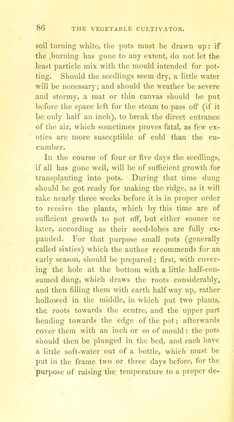 soil turning white, the pots must be drawn up: if the .burning has gone to any extent, do not let the least particle mix with the mould intended for pot- ting. Should the seedlings seem dry, a little water will be necessary; and should the weather be severe and stormy, a mat or thin canvas should be put before the space left for the steam to pass off (if it be only half an inch), to break the direct entrance of the air, which sometimes proves fatal, as few ex- otics are more susceptible of cold than the cu- cumber. In the course of four or five days the seedlings, if all has gone well, will be of sufficient growth for transplanting into pots. During that time dung should be got ready for making the ridge, as it will take nearly three weeks before it is in proper order to receive the plants, which by this time are of sufficient growth to pot off) but either sooner or later, according as their seed-lobes are fully ex- panded. For that purpose small pots (generally called sixties) which the author recommends for an early season, should be prepared ; first, with cover- ing the hole at the bottom with a little half-con- sumed dung, which draws the roots considerably, and then filling them with earth half way up, rather hollowed in the middle, in which put two plants, the roots towards the centre, and the upper part bending towards the edge of the pot; afterwards cover them with an inch or so of mould : the pots should then be plunged in the bed, and each have a little soft-water out of a bottle, which must be put in the frame two or three days before, for the purpose of raising the temperature to a proper de-