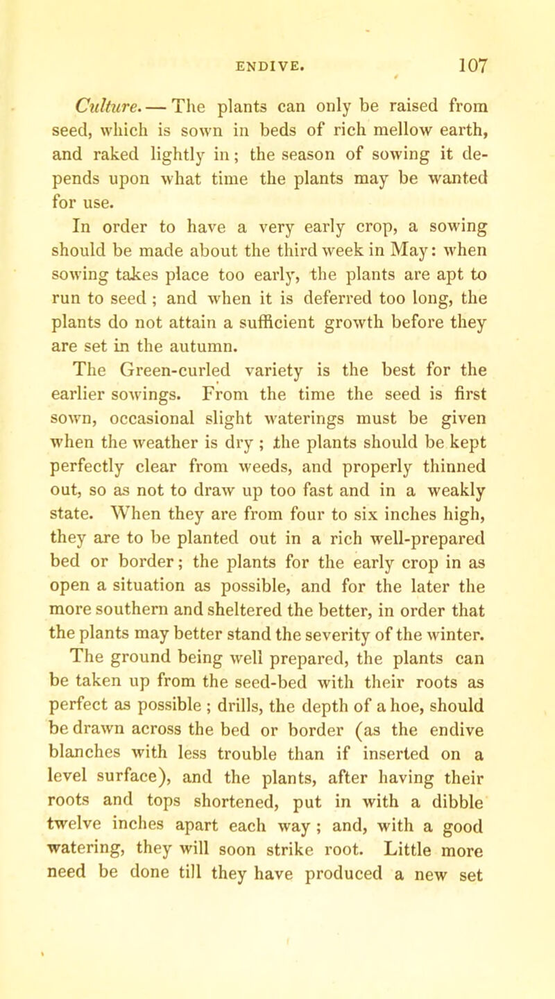 Culture Tlie plants can only be raised from seed, which is sown in beds of rich mellow earth, and raked lightly in; the season of sowing it de- pends upon what time the plants may be wanted for use. In order to have a very early crop, a sow'ing should be made about the third week in May: when sowing takes place too early, the plants are apt to run to seed ; and when it is deferred too long, the plants do not attain a sufficient growth before they are set in the autumn. The Green-curled variety is the best for the earlier sowings. From the time the seed is first sown, occasional slight waterings must be given when the weather is dry ; the plants should be kept perfectly clear from weeds, and properly thinned out, so as not to draw up too fast and in a weakly state. When they are from four to six inches high, they are to be planted out in a rich well-prepared bed or border; the plants for the early crop in as open a situation as possible, and for the later the more southeni and sheltered the better, in order that the plants may better stand the severity of the winter. The ground being well prepared, the plants can be taken up from the seed-bed with their roots as perfect as possible ; drills, the depth of a hoe, should be drawn across the bed or border (as the endive blanches with less trouble than if inserted on a level surface), and the plants, after having their roots and tops shortened, put in with a dibble twelve inches apart each way ; and, with a good watering, they will soon strike root. Little more need be done till they have produced a new set